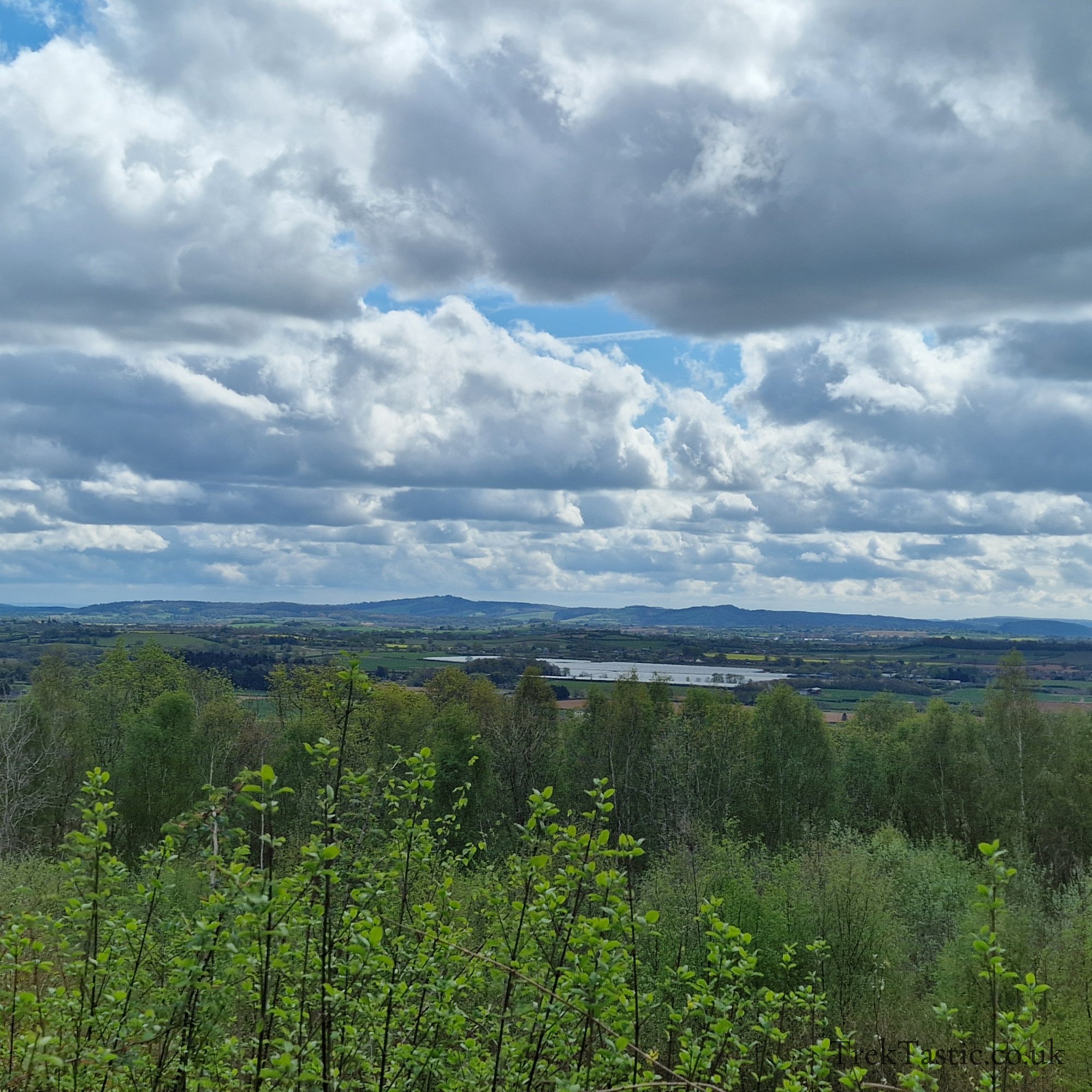 Queenswood Arboretum gallery image 15