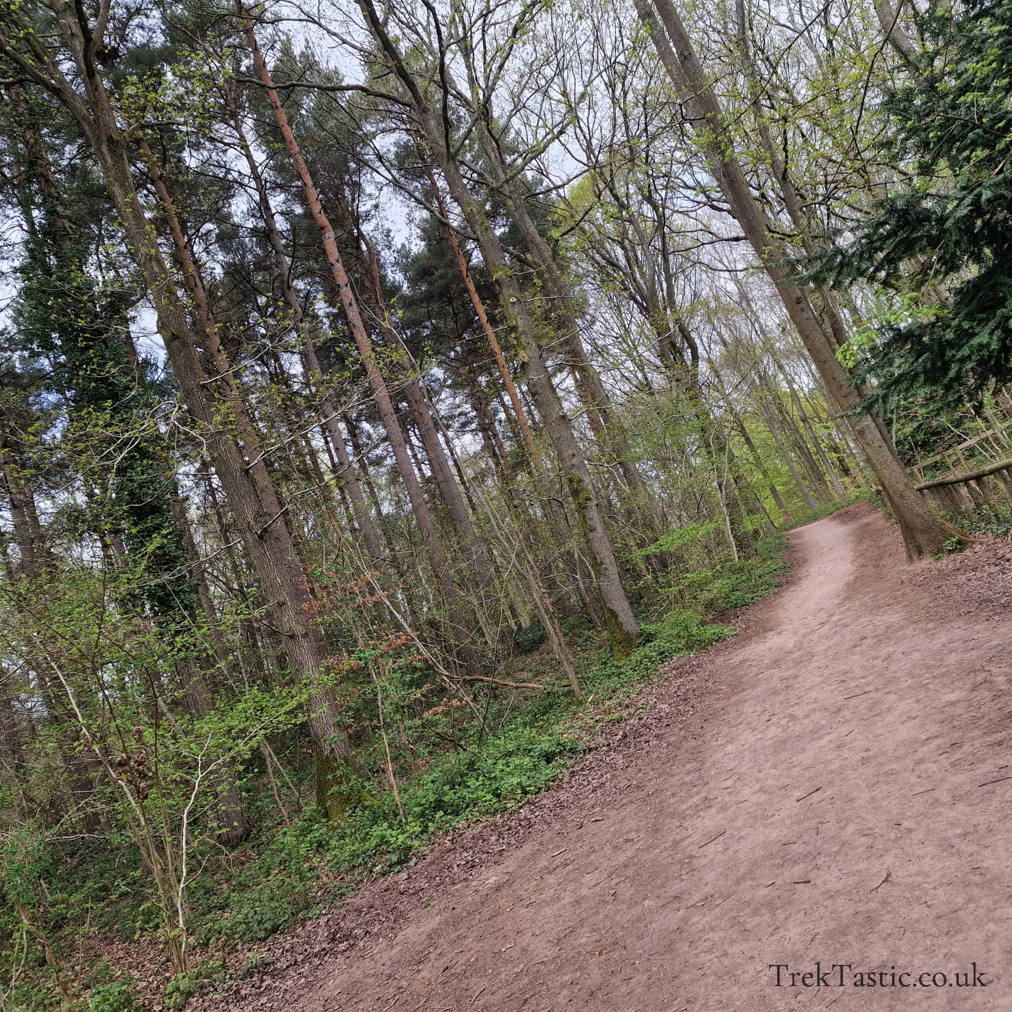 Queenswood Arboretum gallery image 16