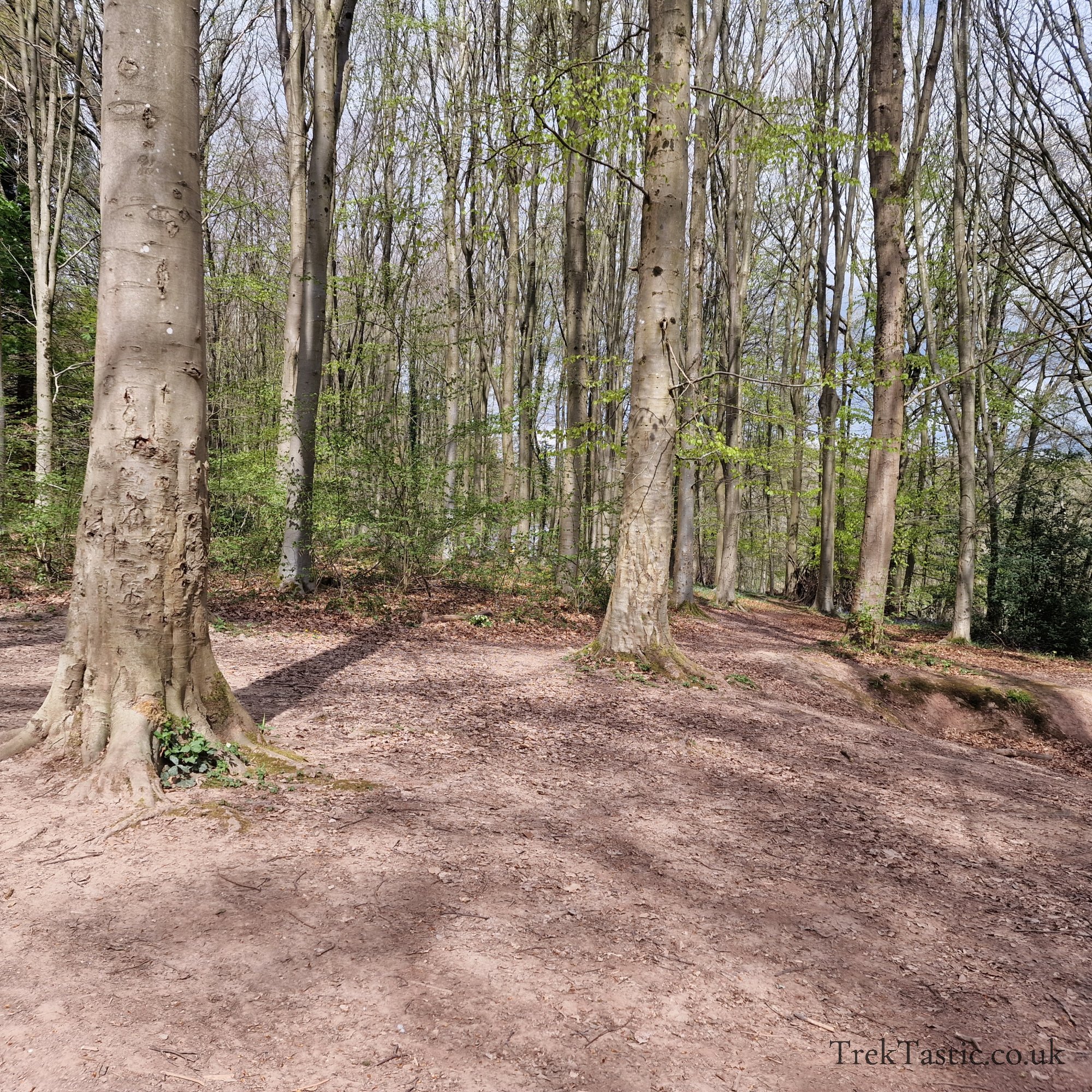 Queenswood Arboretum gallery image 18