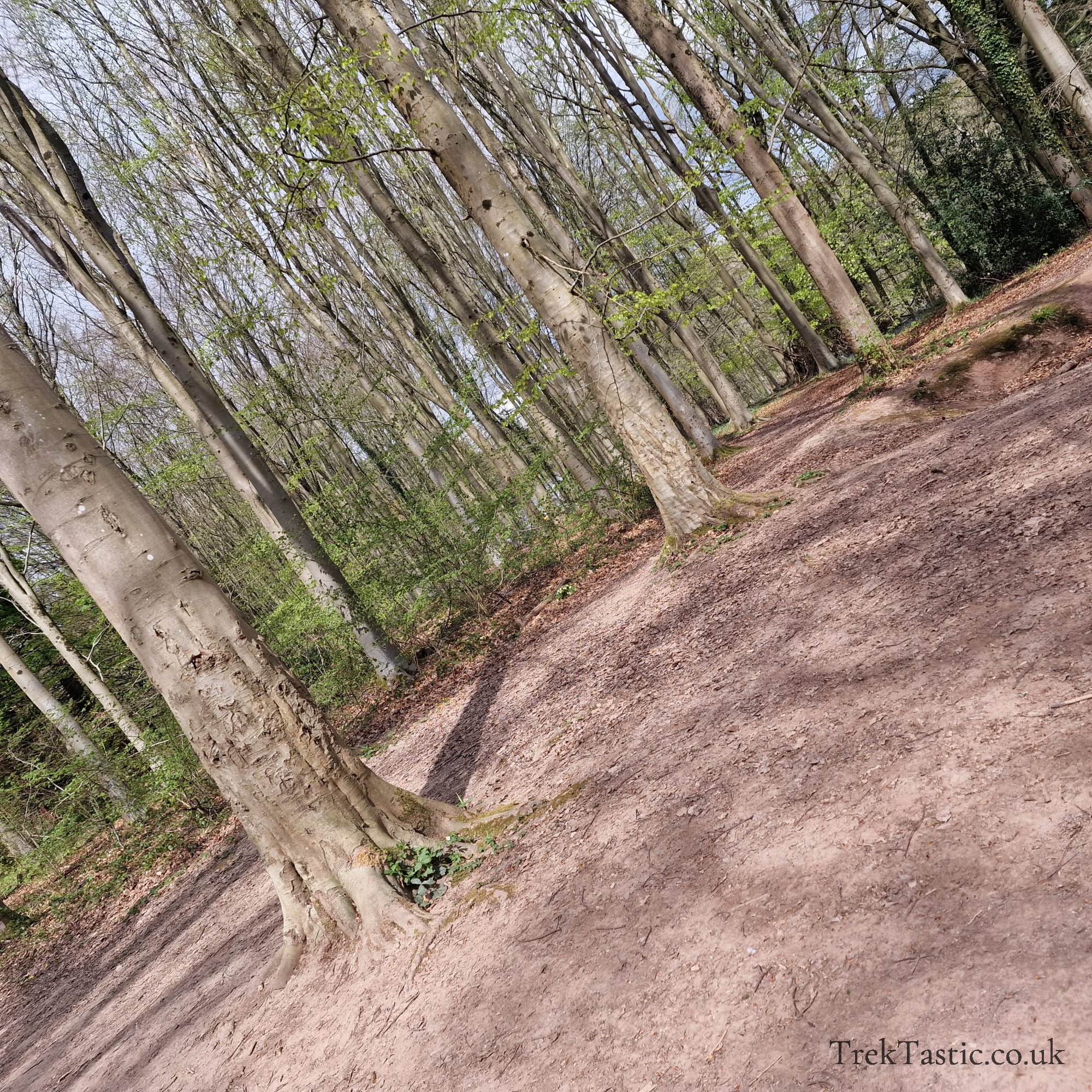 Queenswood Arboretum gallery image 19