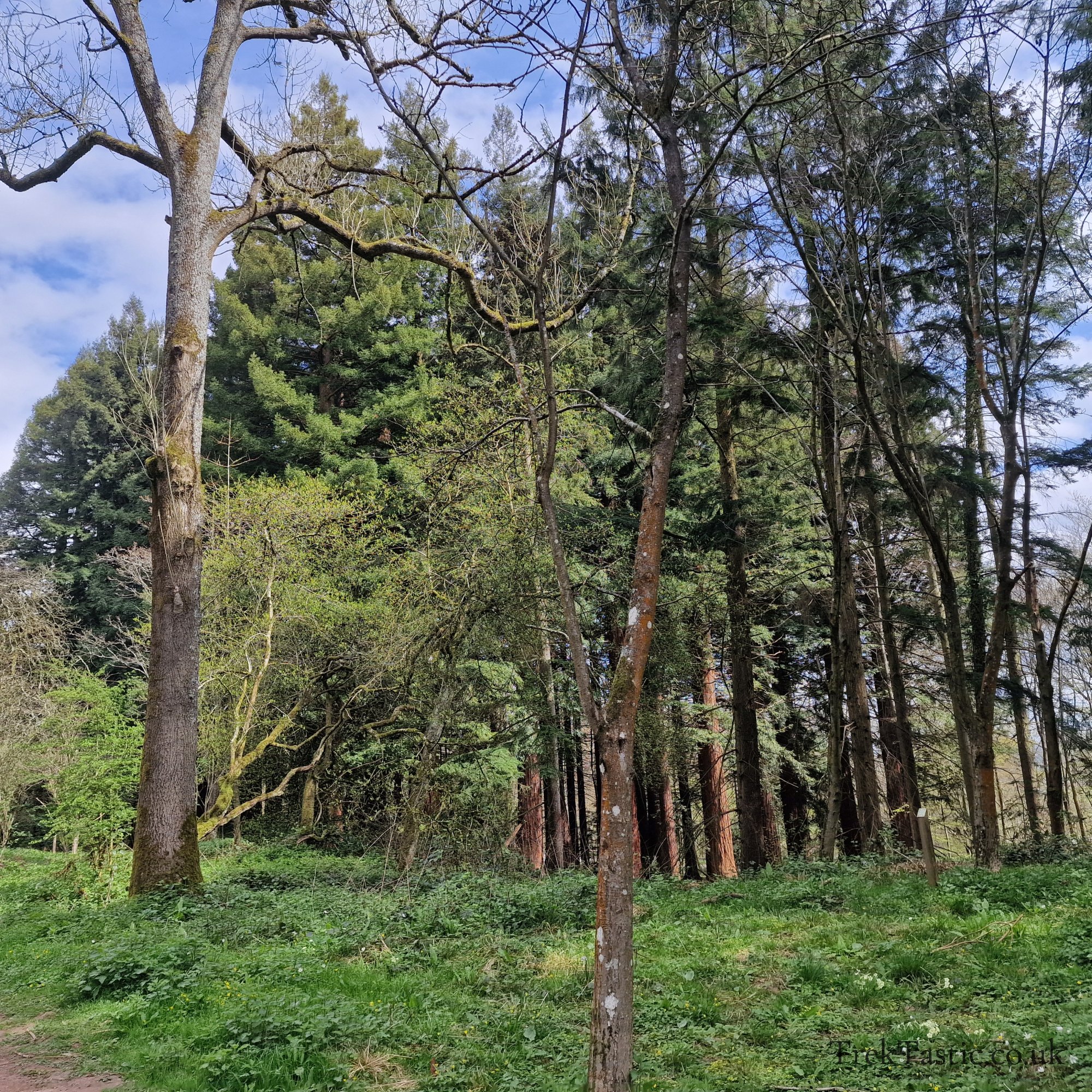 Queenswood Arboretum gallery image 20