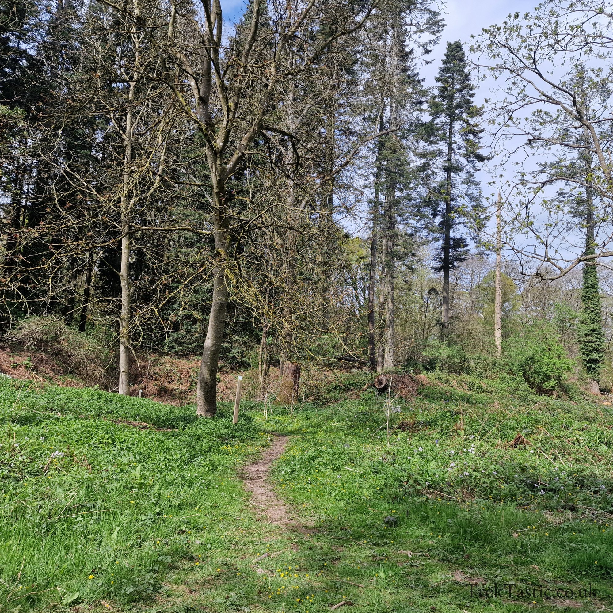 Queenswood Arboretum gallery image 21