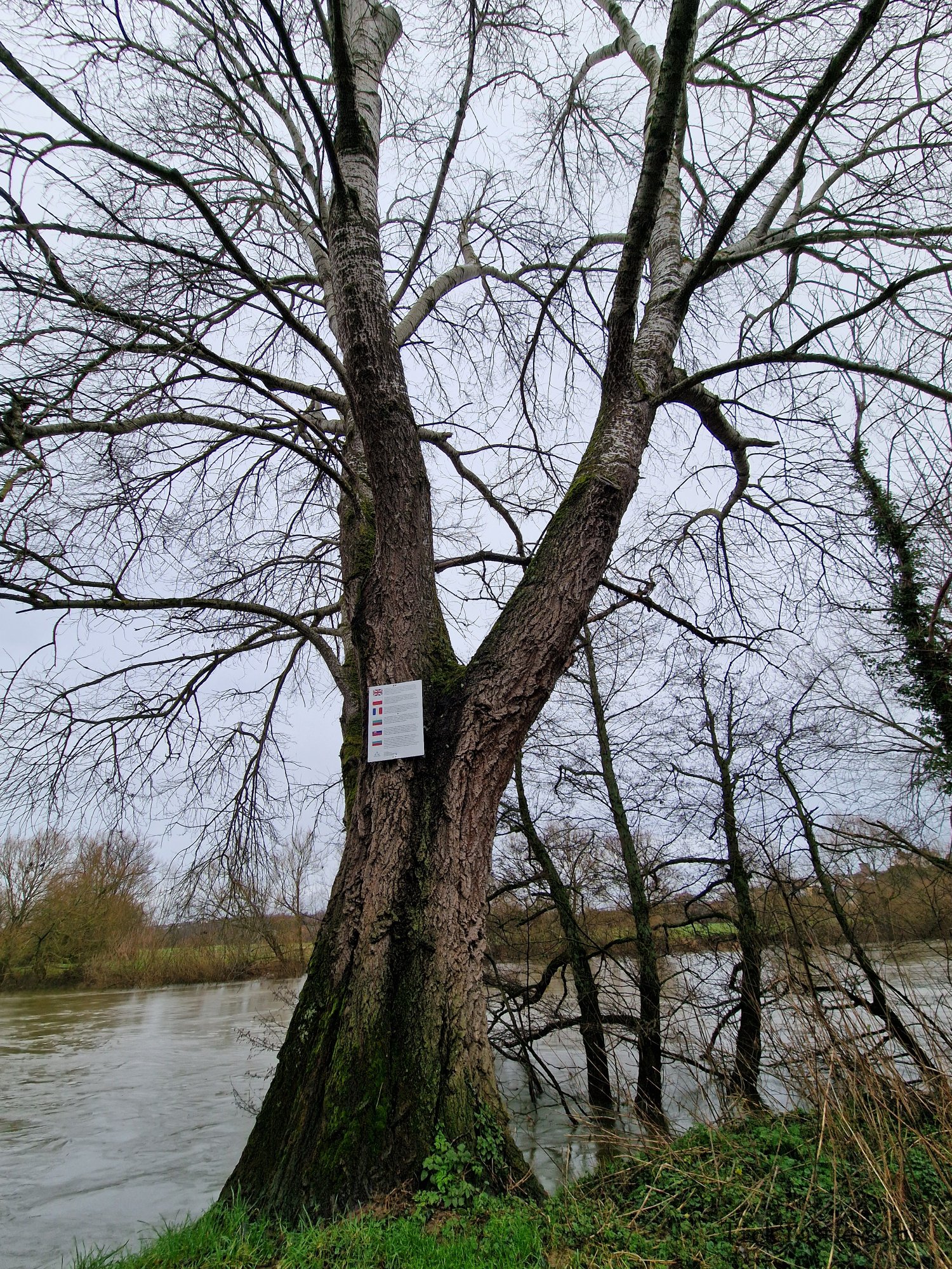 Ross-on-Wye River gallery image 11