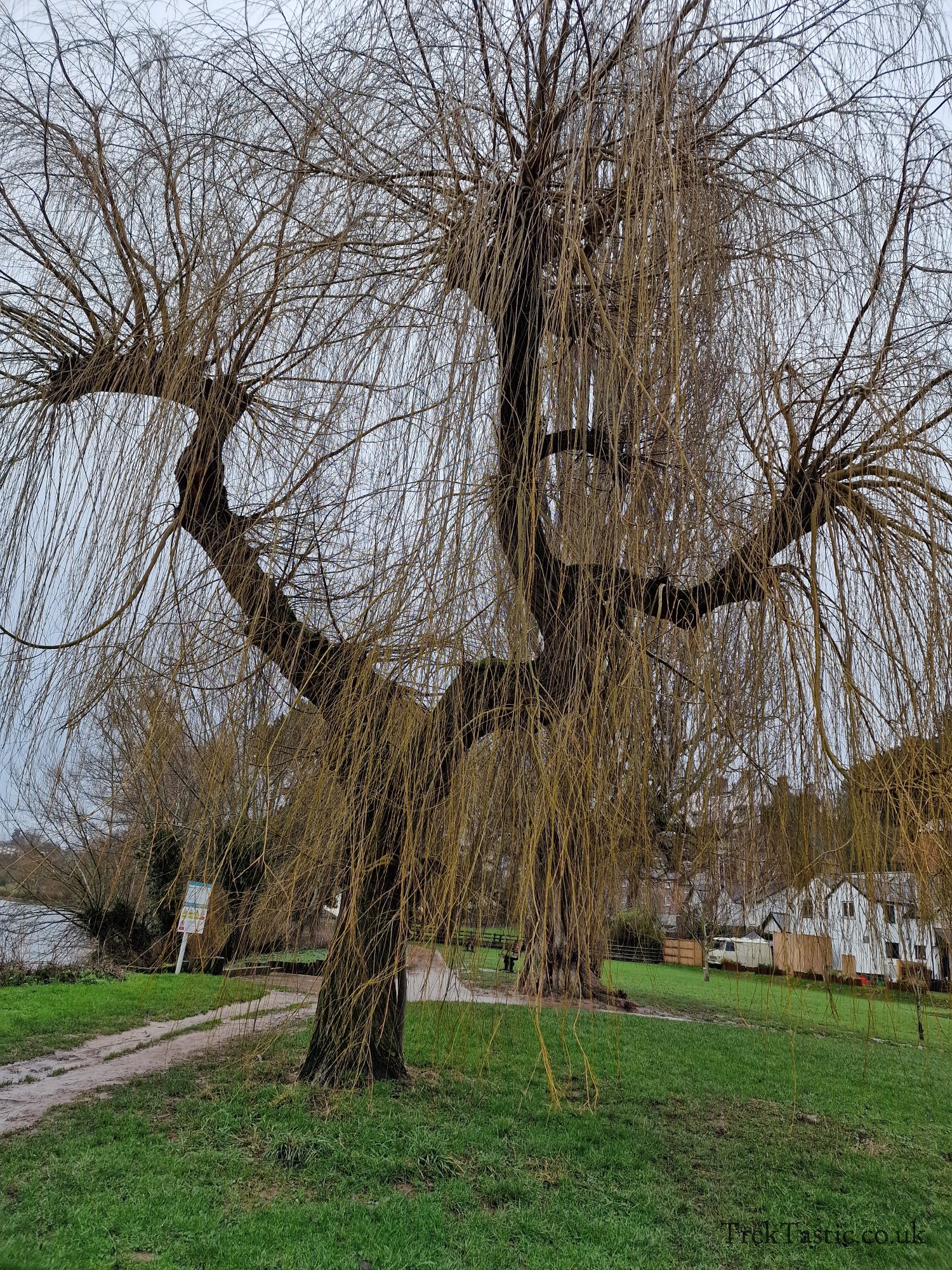 Ross-on-Wye River gallery image 19