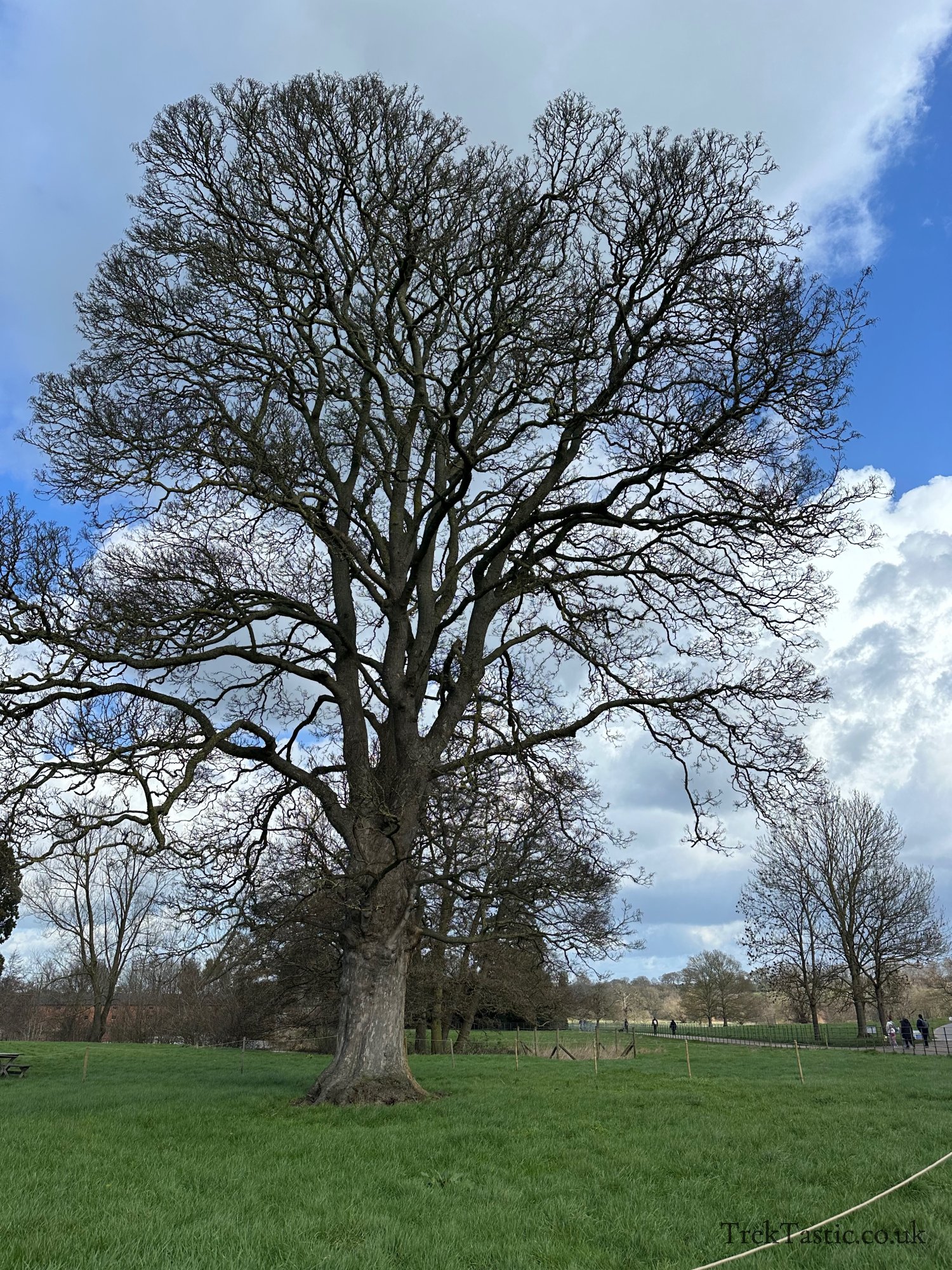 Shugborough Estate gallery image 8