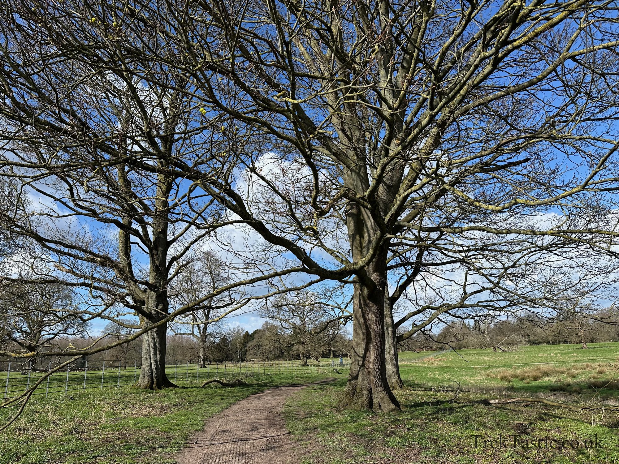 Shugborough Estate gallery image 12