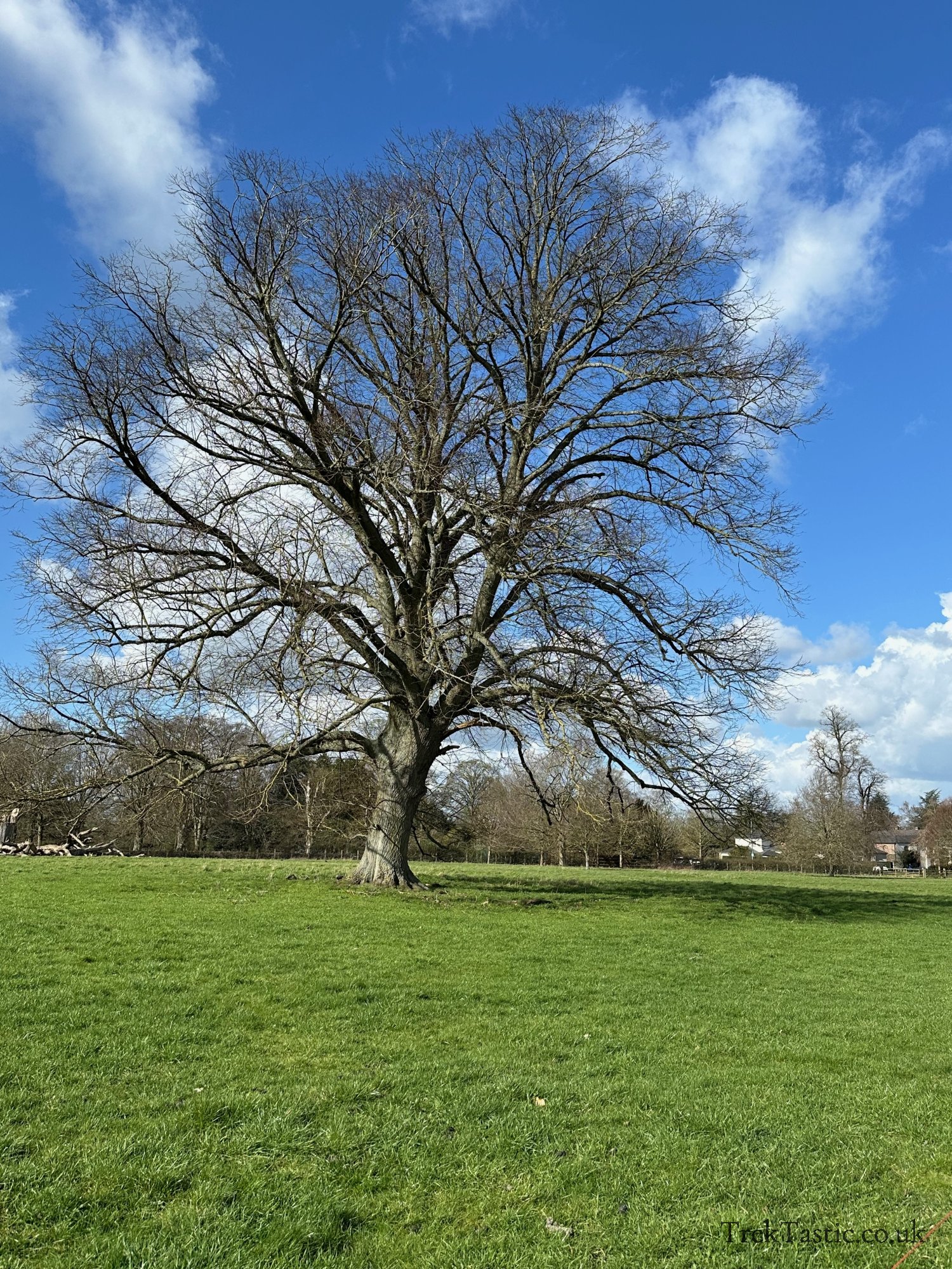 Shugborough Estate gallery image 15