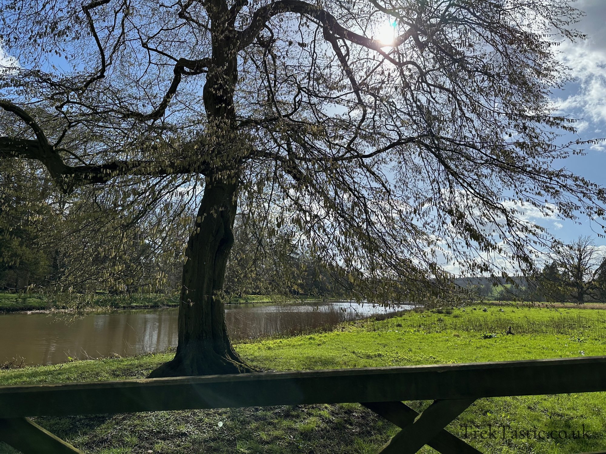 Shugborough Estate gallery image 24