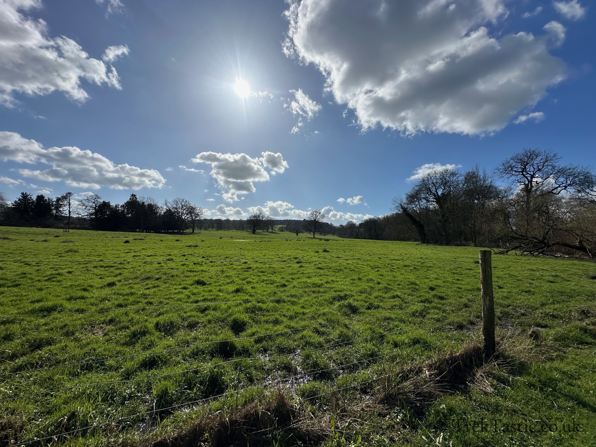 Shugborough Estate gallery image 34