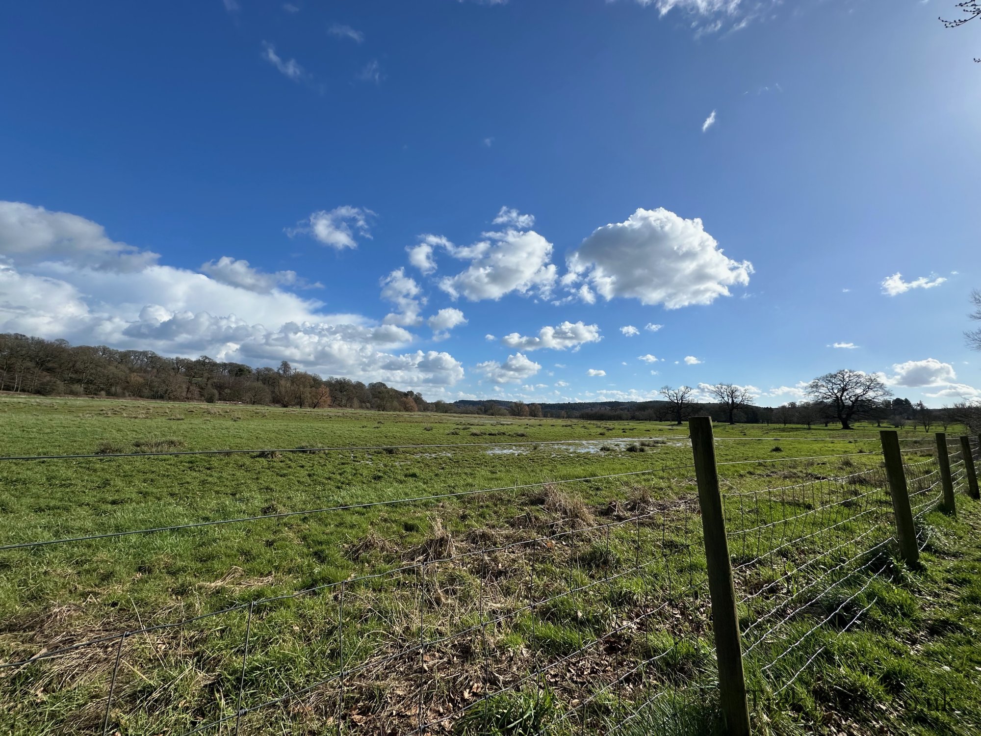 Shugborough Estate gallery image 41