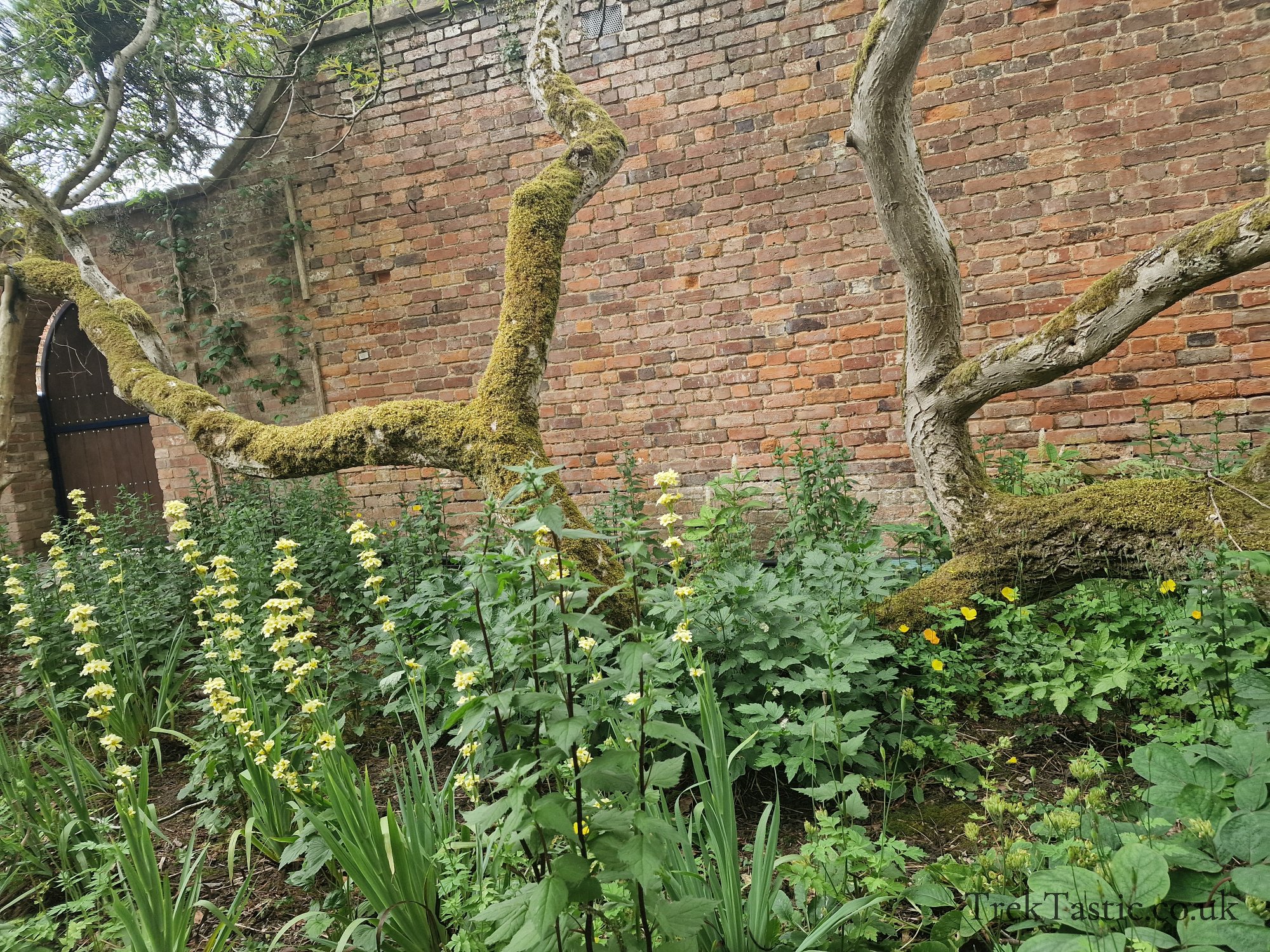Spetchley Park Gardens gallery image 5