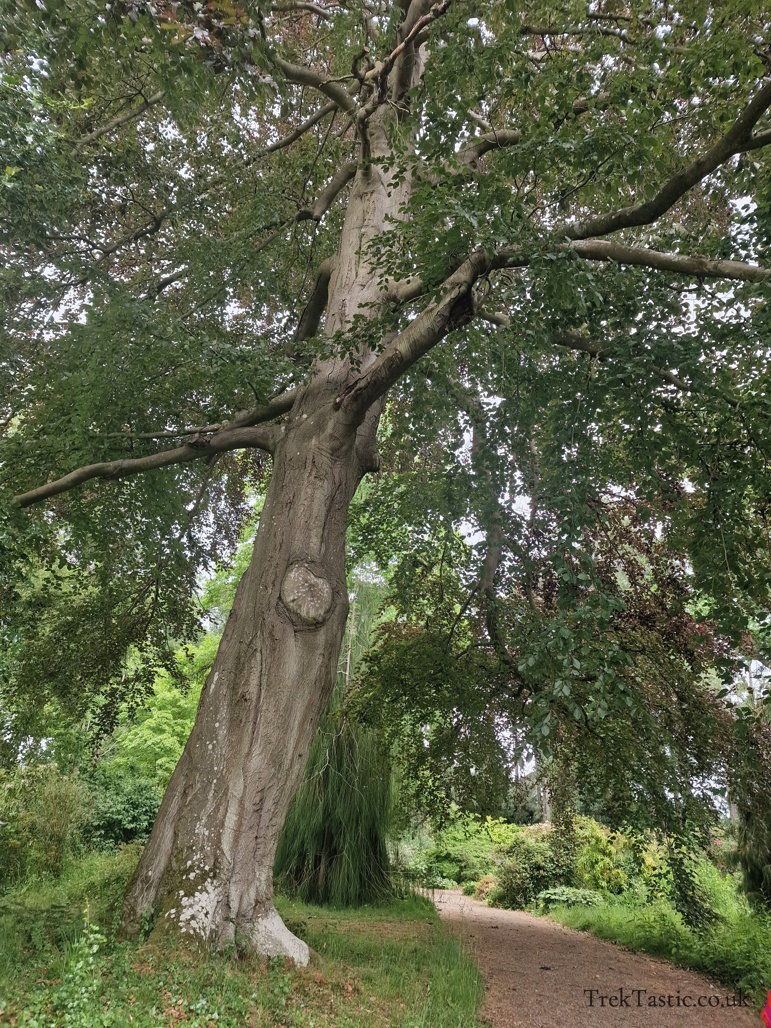 Spetchley Park Gardens gallery image 11