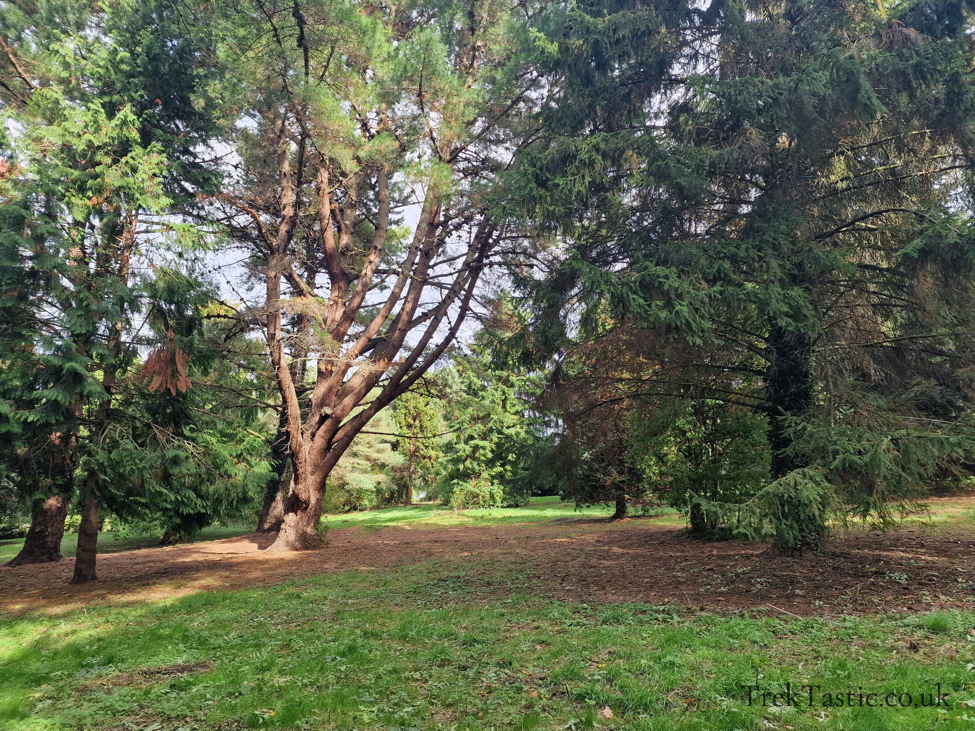 St. Peters Fields gallery image 2