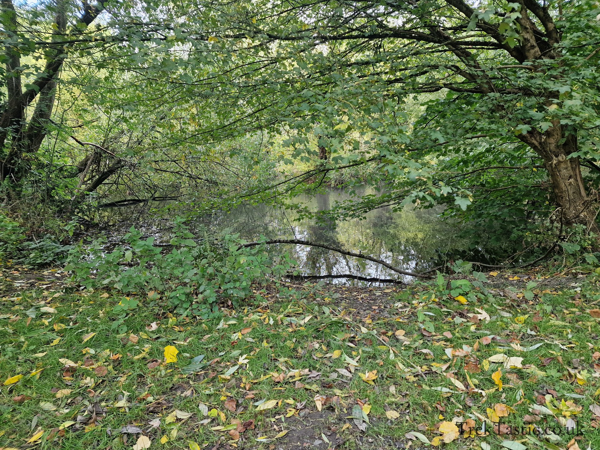 St. Peters Fields gallery image 13