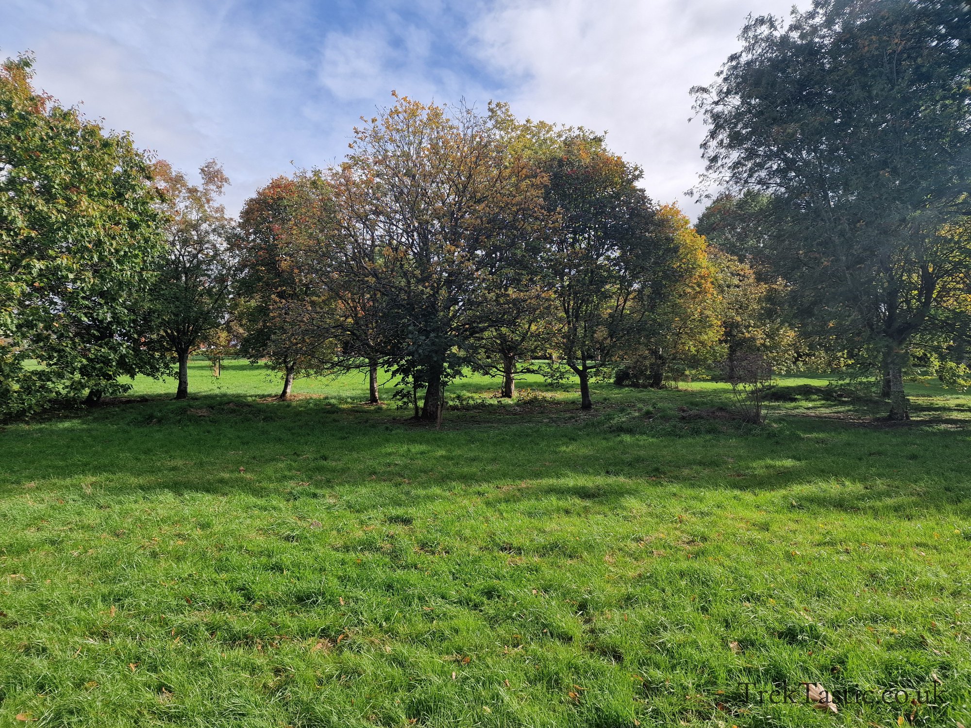 St. Peters Fields gallery image 15