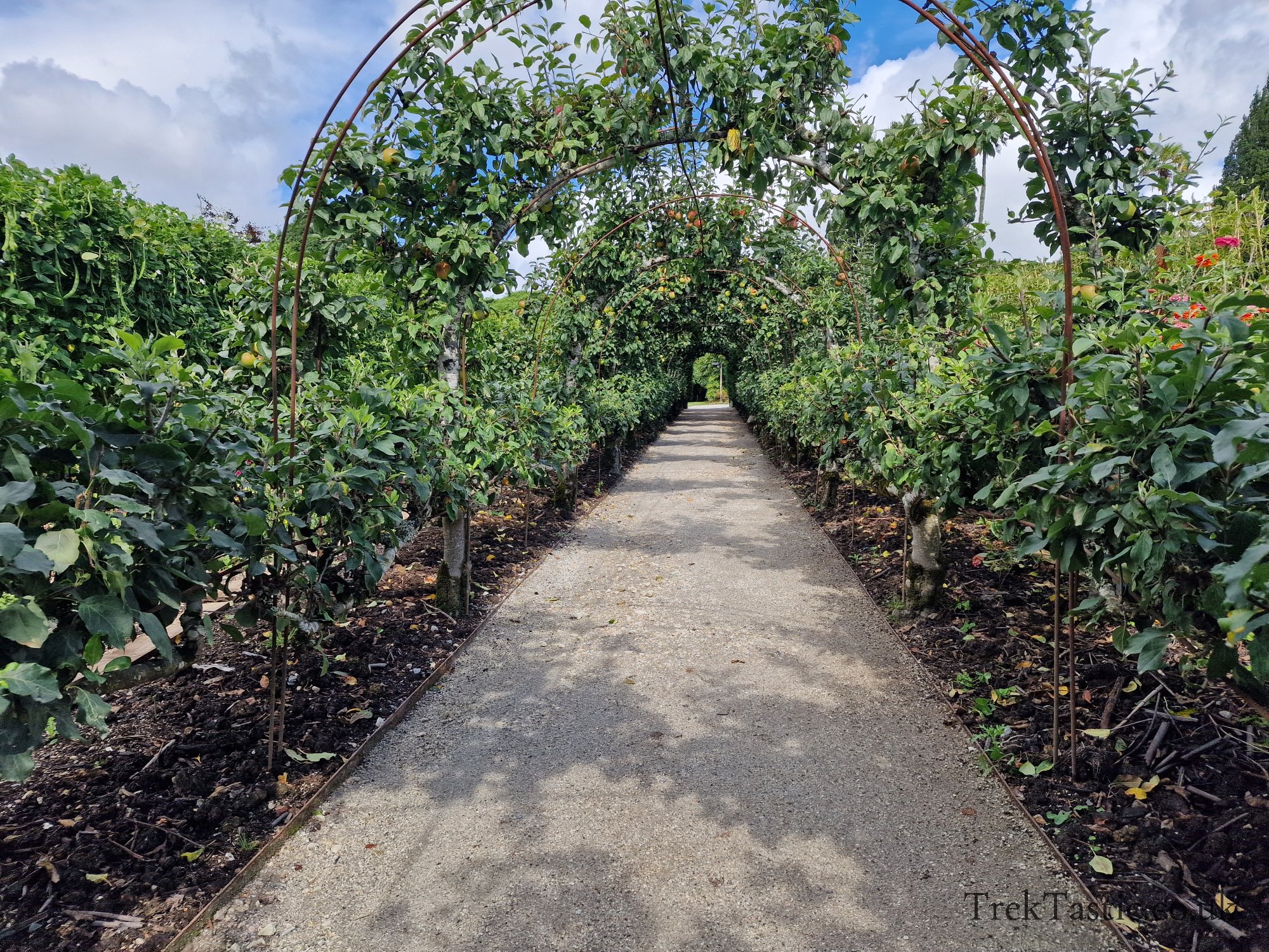 The Lost Gardens of Heligan gallery image 3