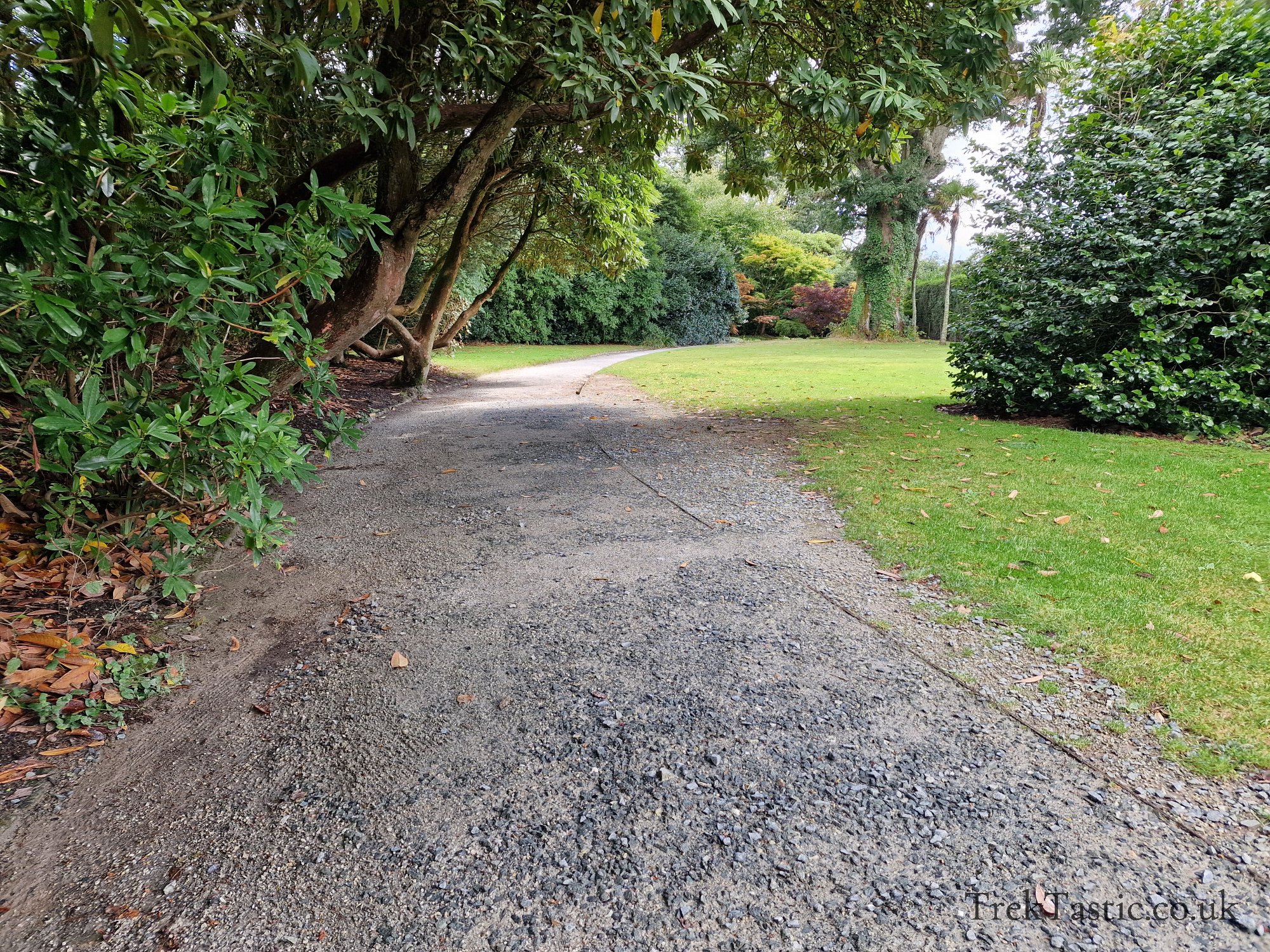The Lost Gardens of Heligan gallery image 5