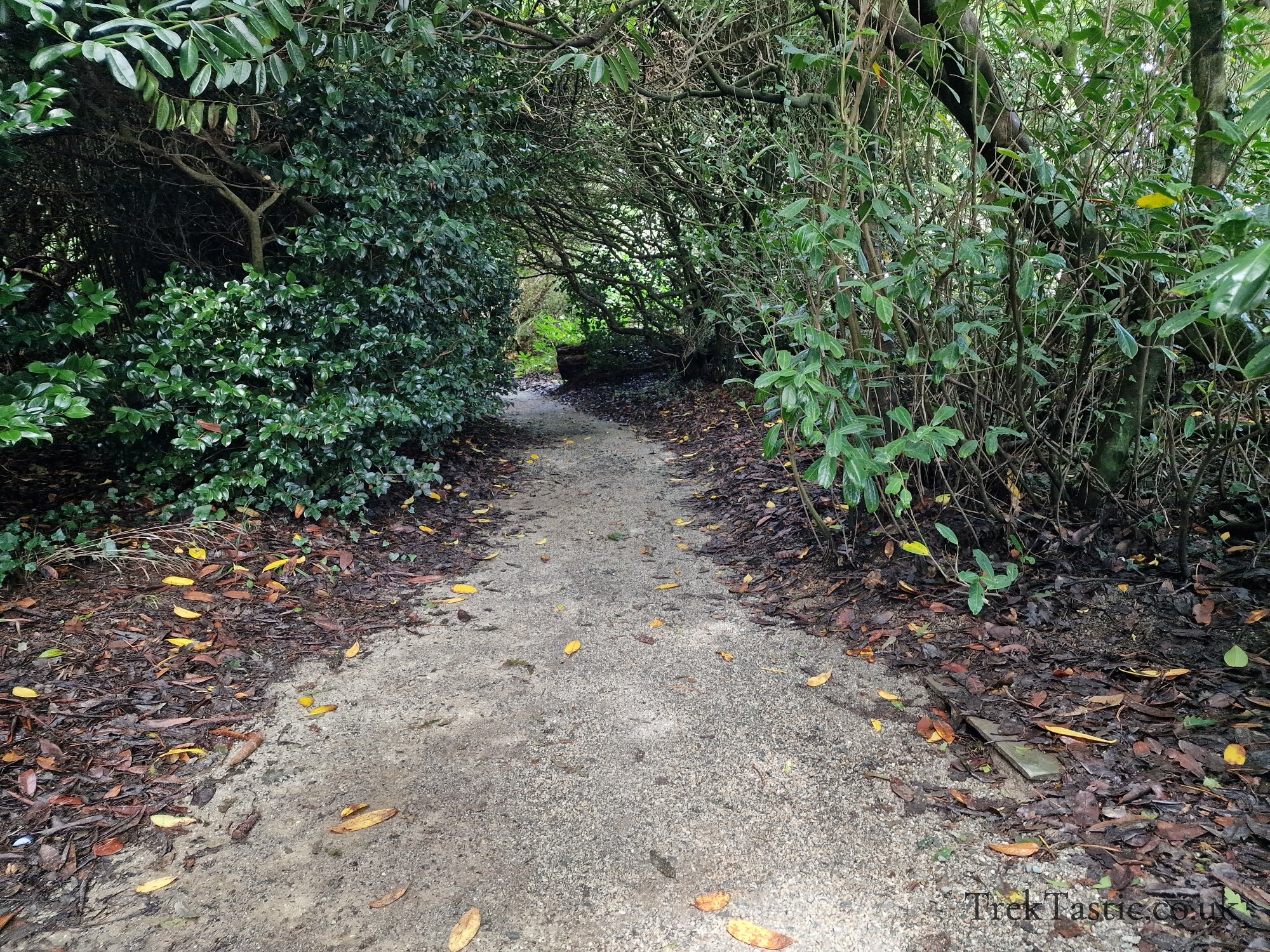 The Lost Gardens of Heligan gallery image 6