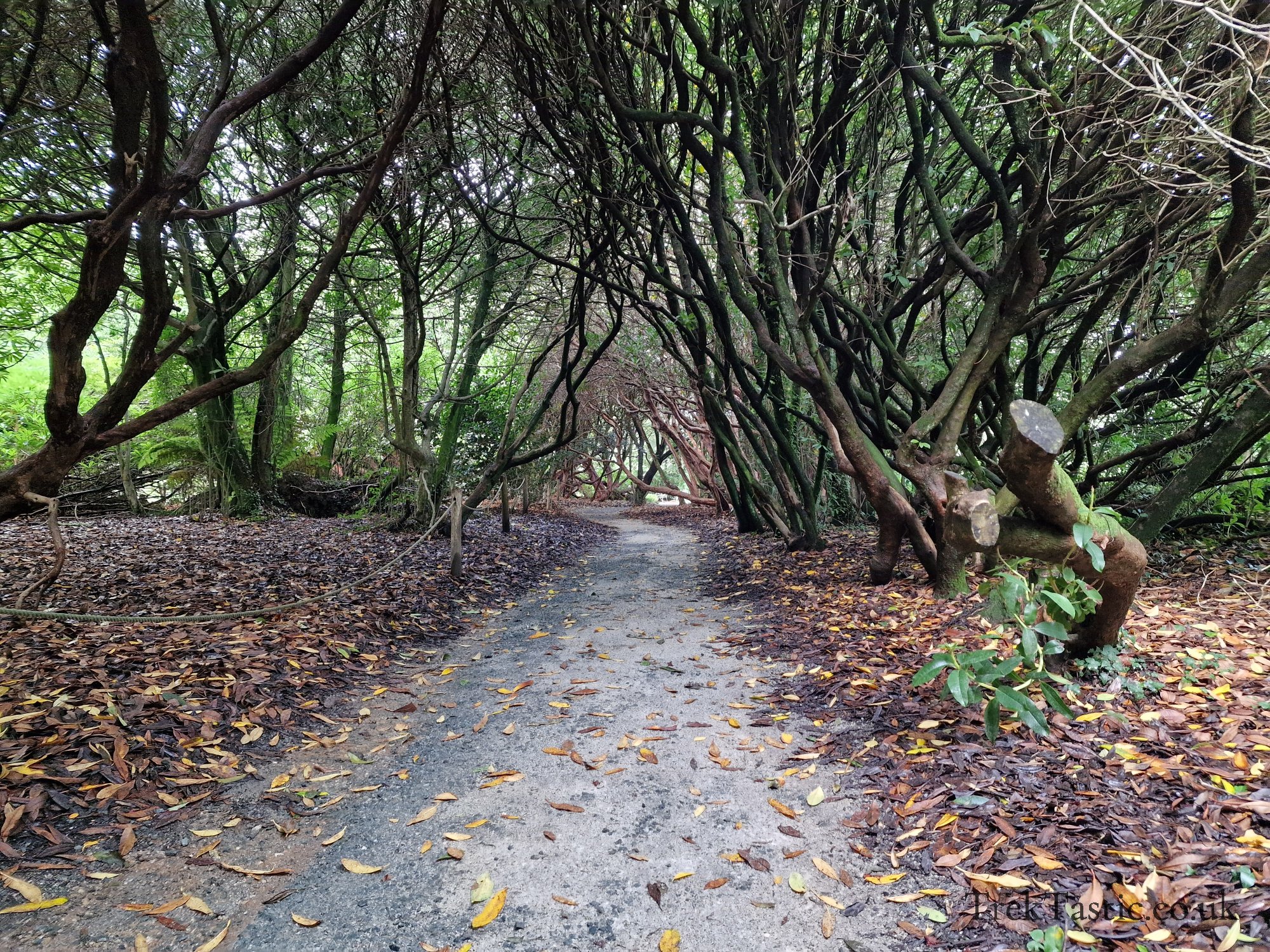 The Lost Gardens of Heligan gallery image 7
