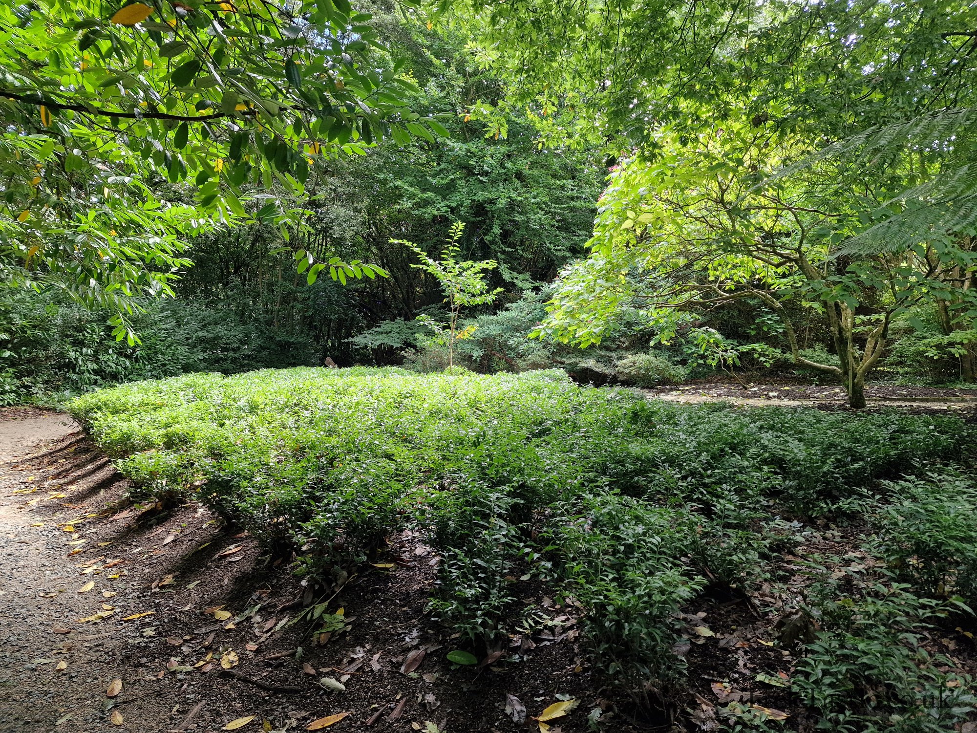 The Lost Gardens of Heligan gallery image 10