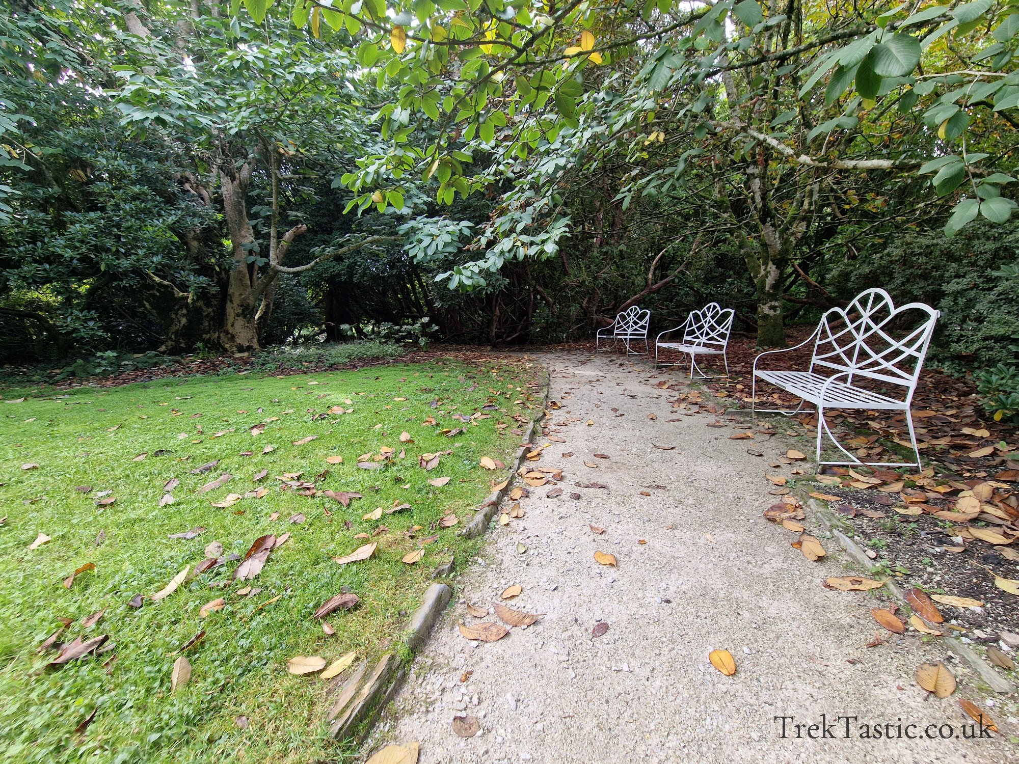 The Lost Gardens of Heligan gallery image 11