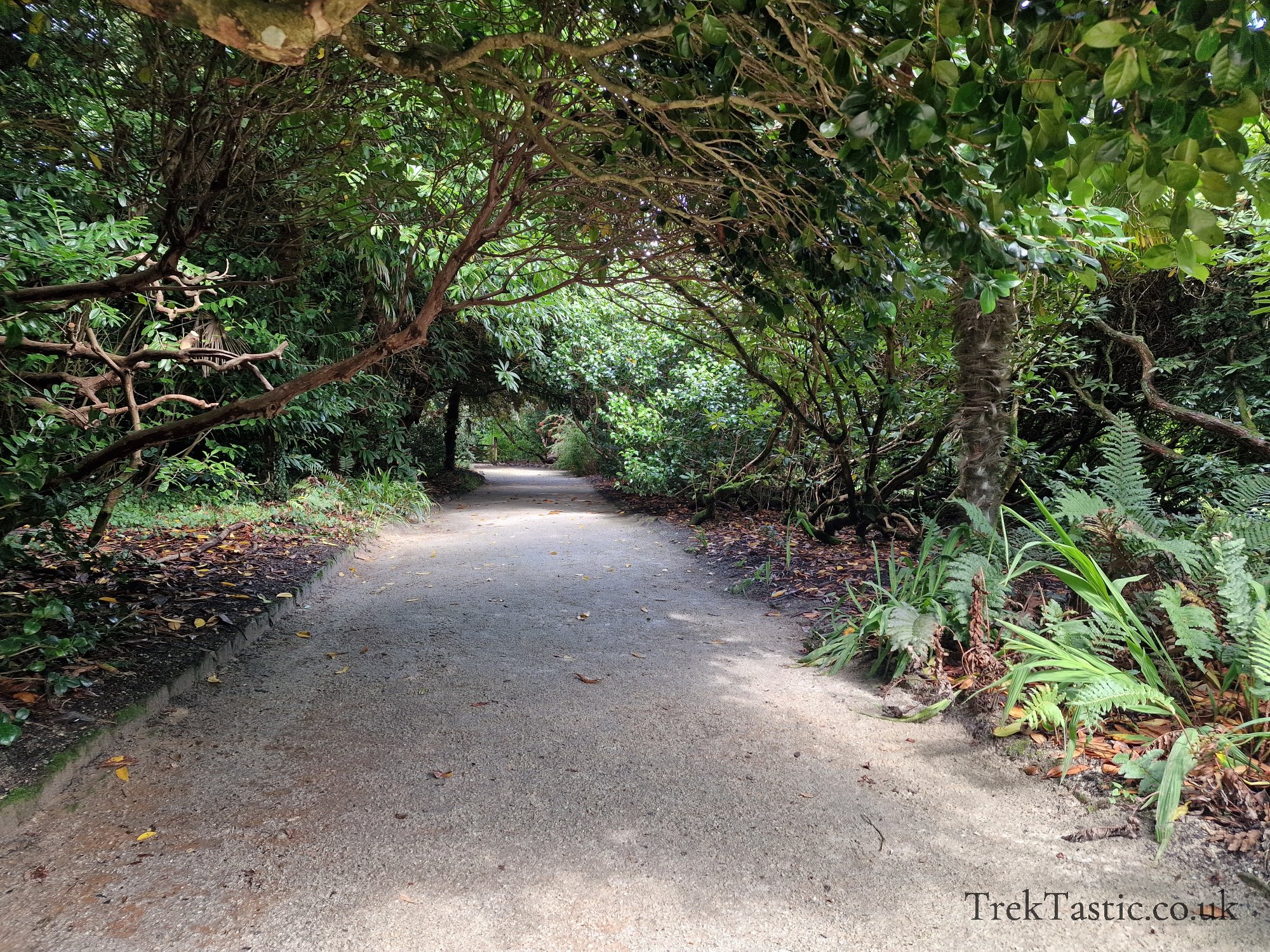 The Lost Gardens of Heligan gallery image 14