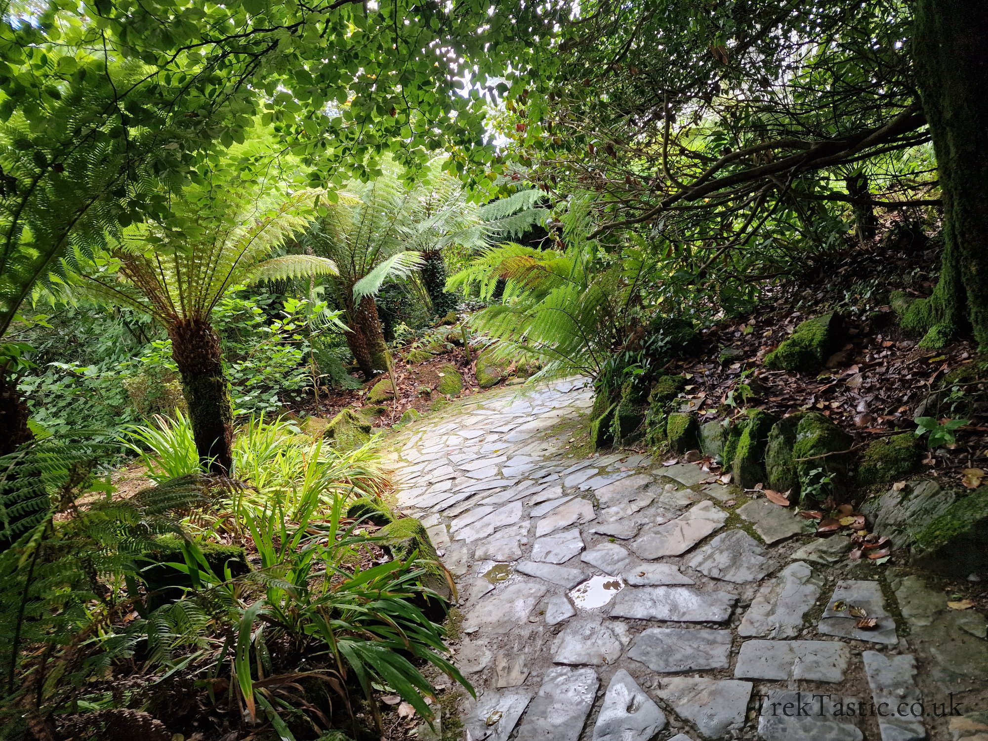 The Lost Gardens of Heligan gallery image 15