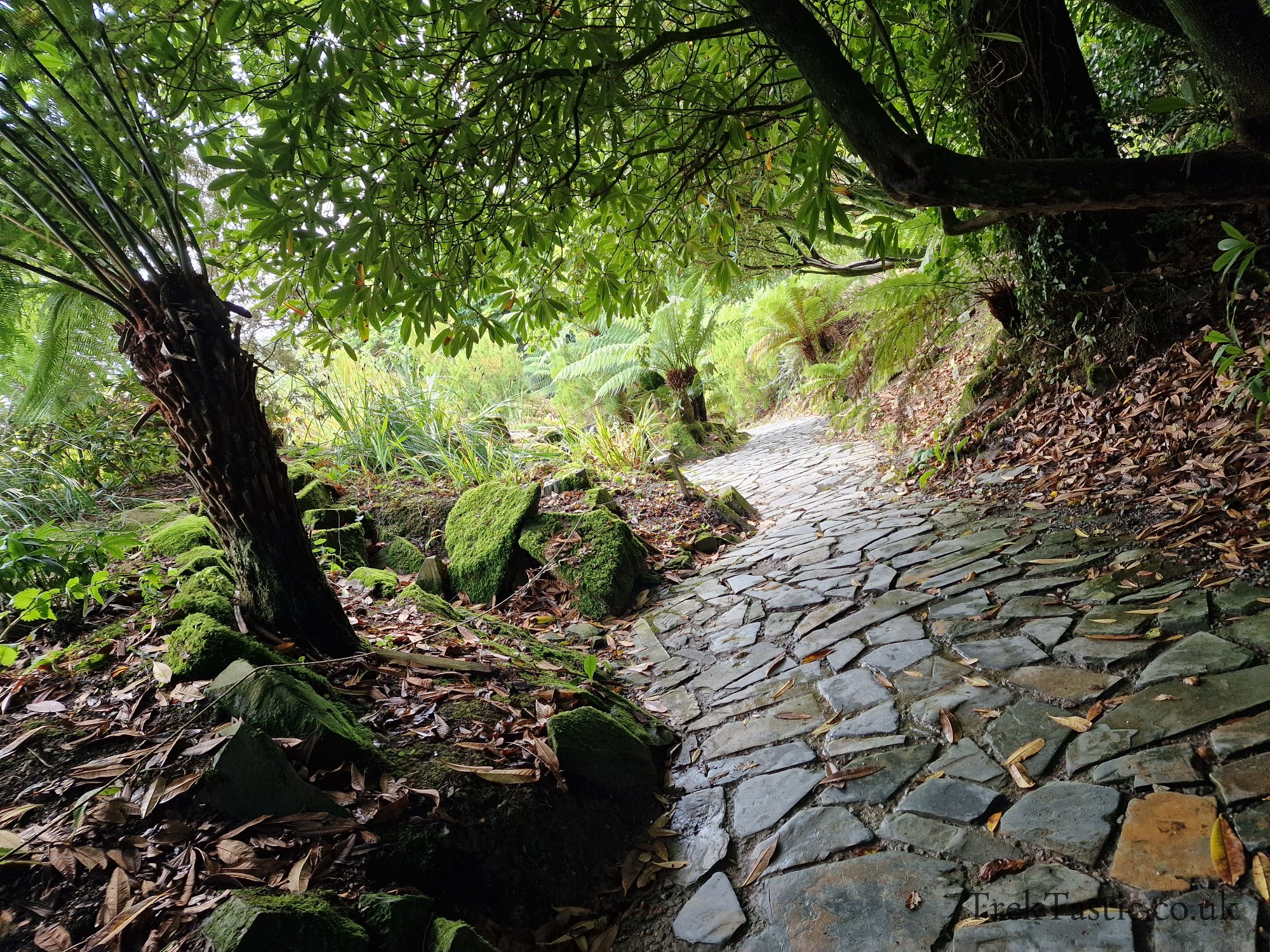 The Lost Gardens of Heligan gallery image 16