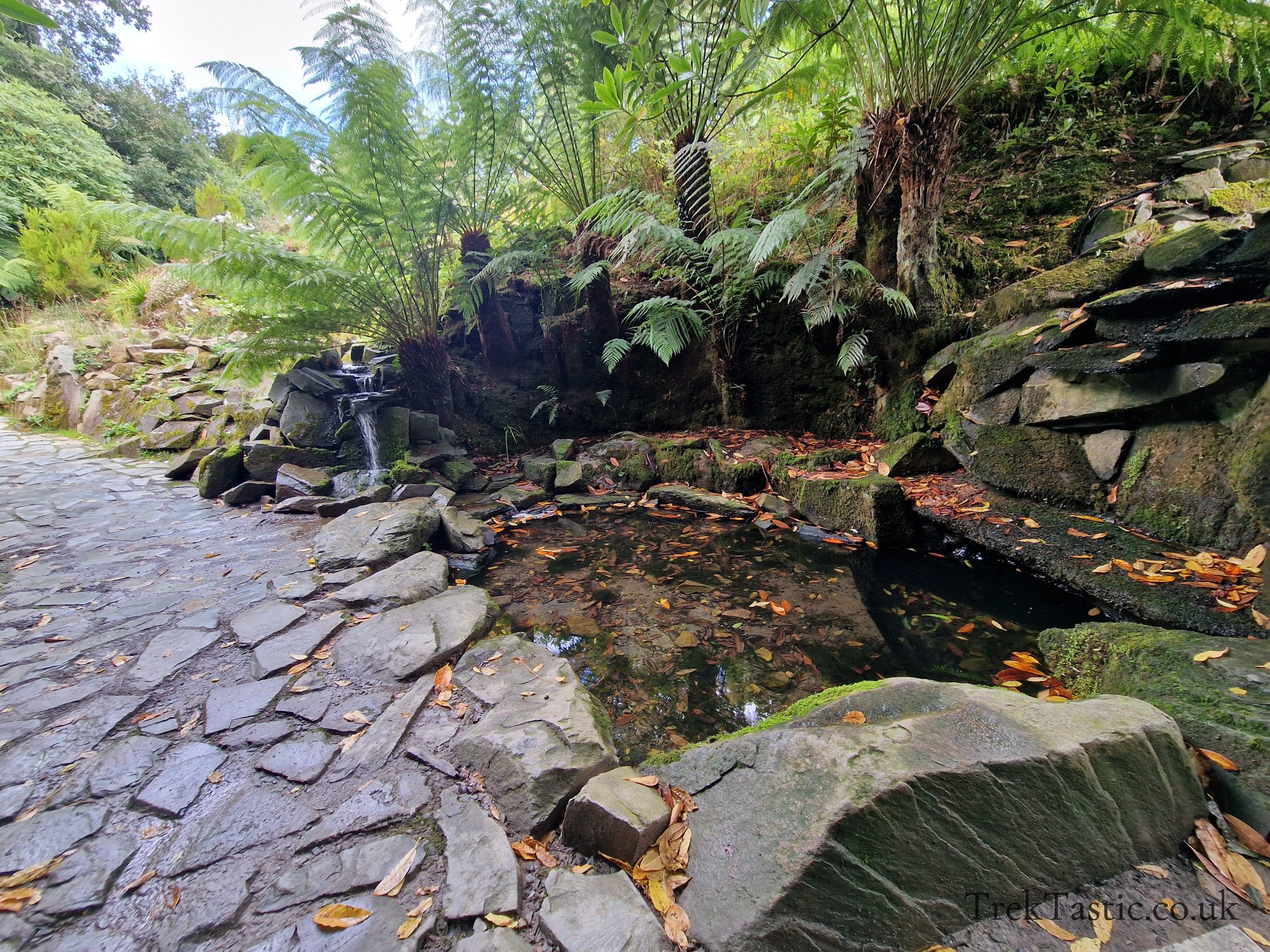 The Lost Gardens of Heligan gallery image 17