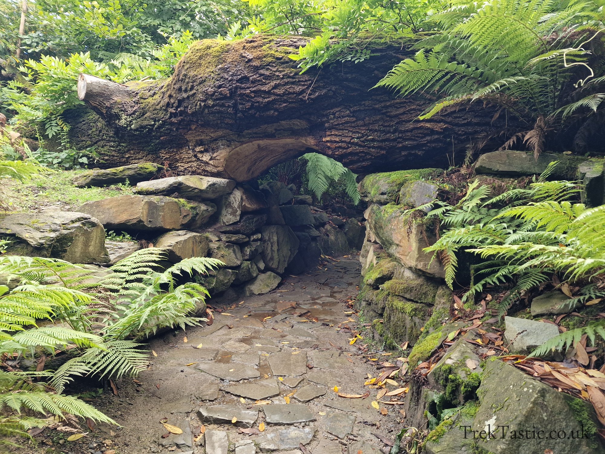 The Lost Gardens of Heligan gallery image 18