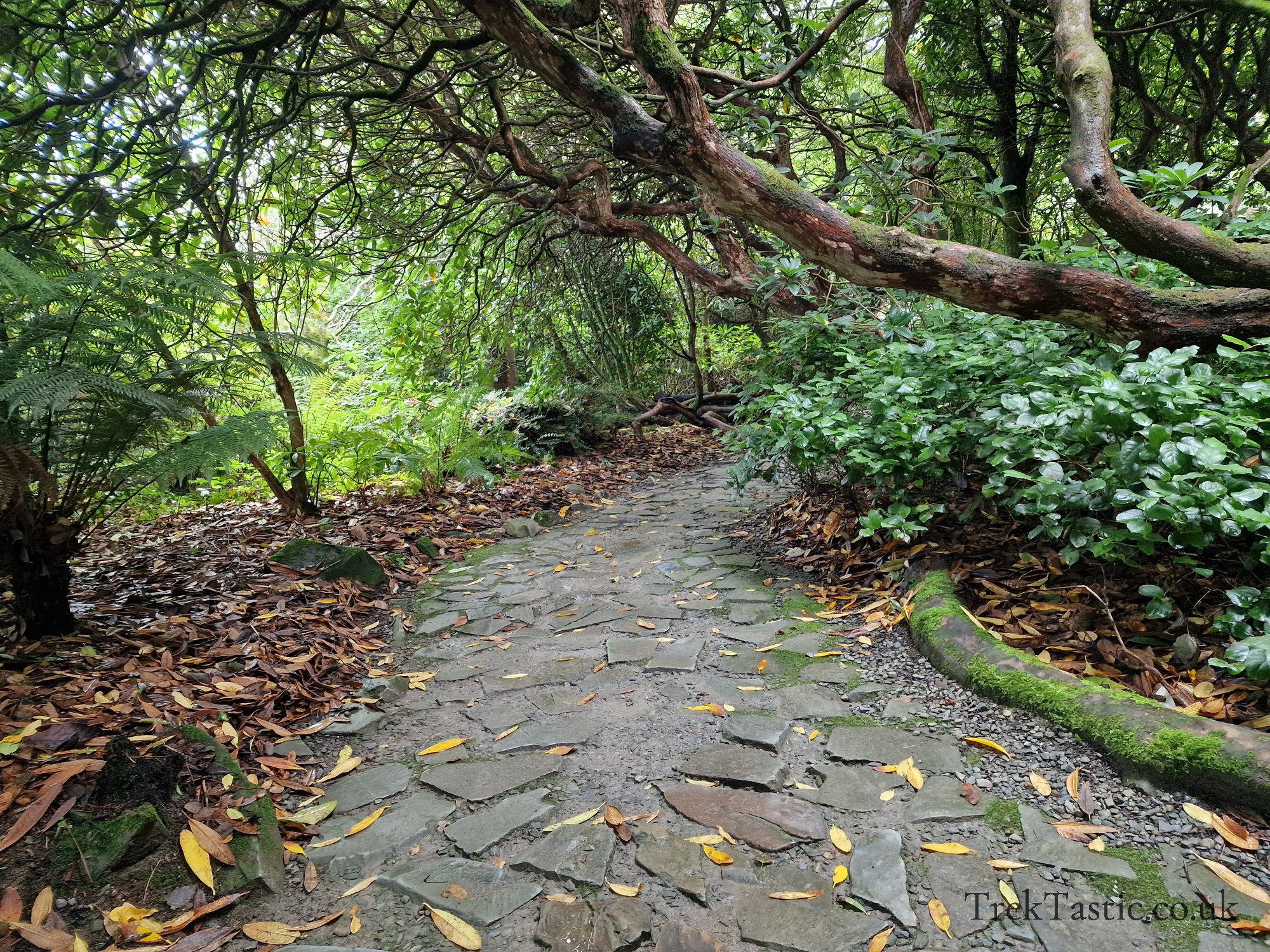The Lost Gardens of Heligan gallery image 19
