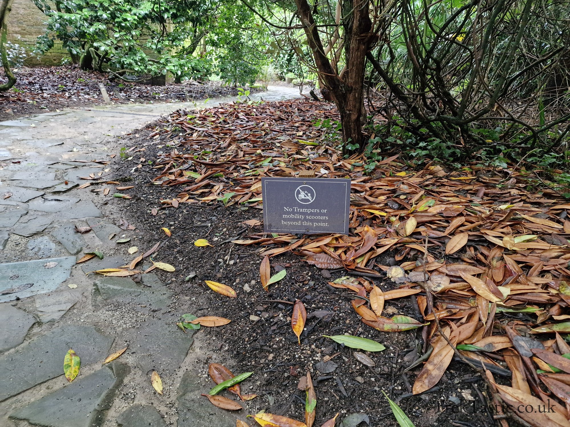 The Lost Gardens of Heligan gallery image 20