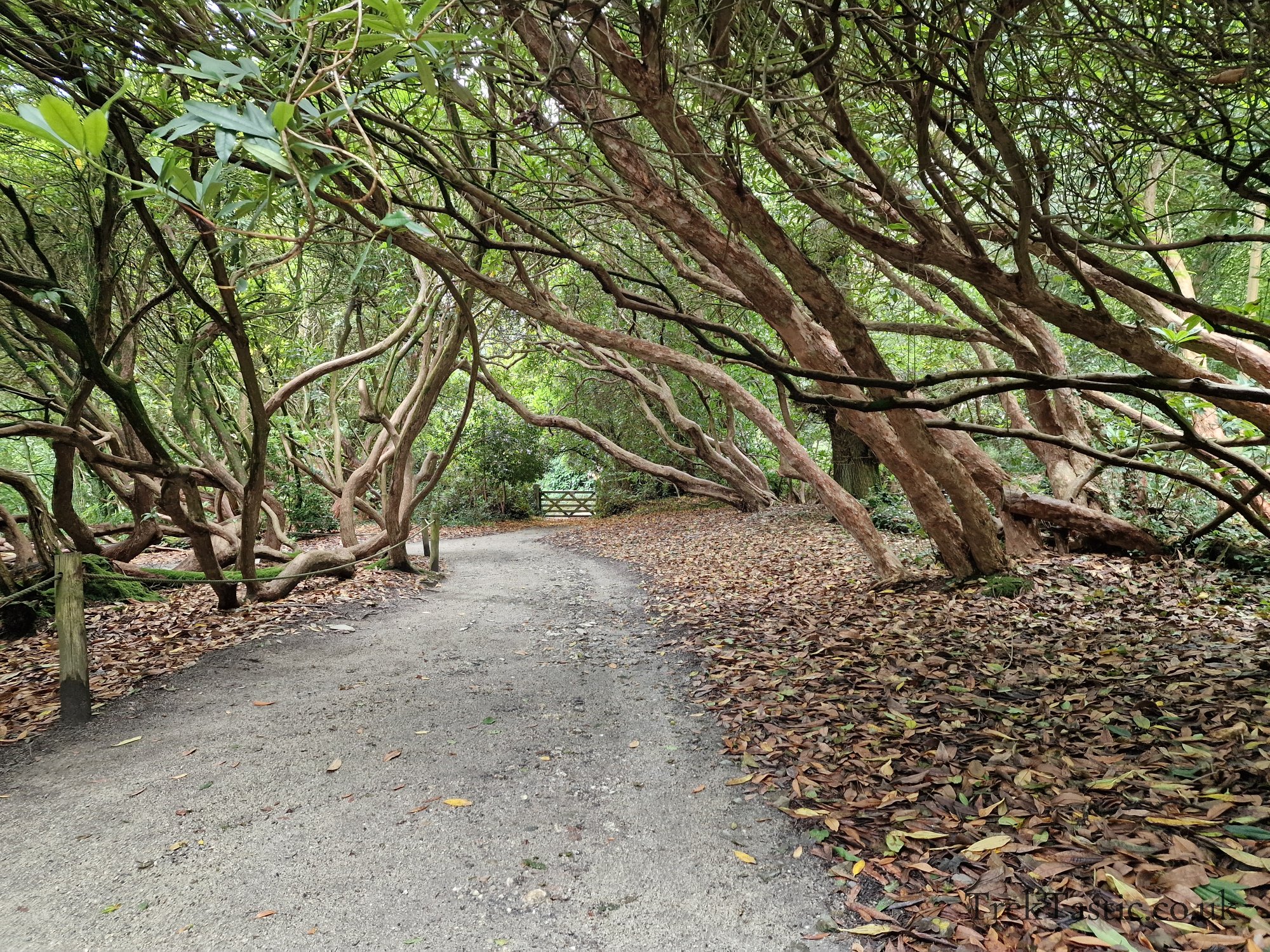 The Lost Gardens of Heligan gallery image 21
