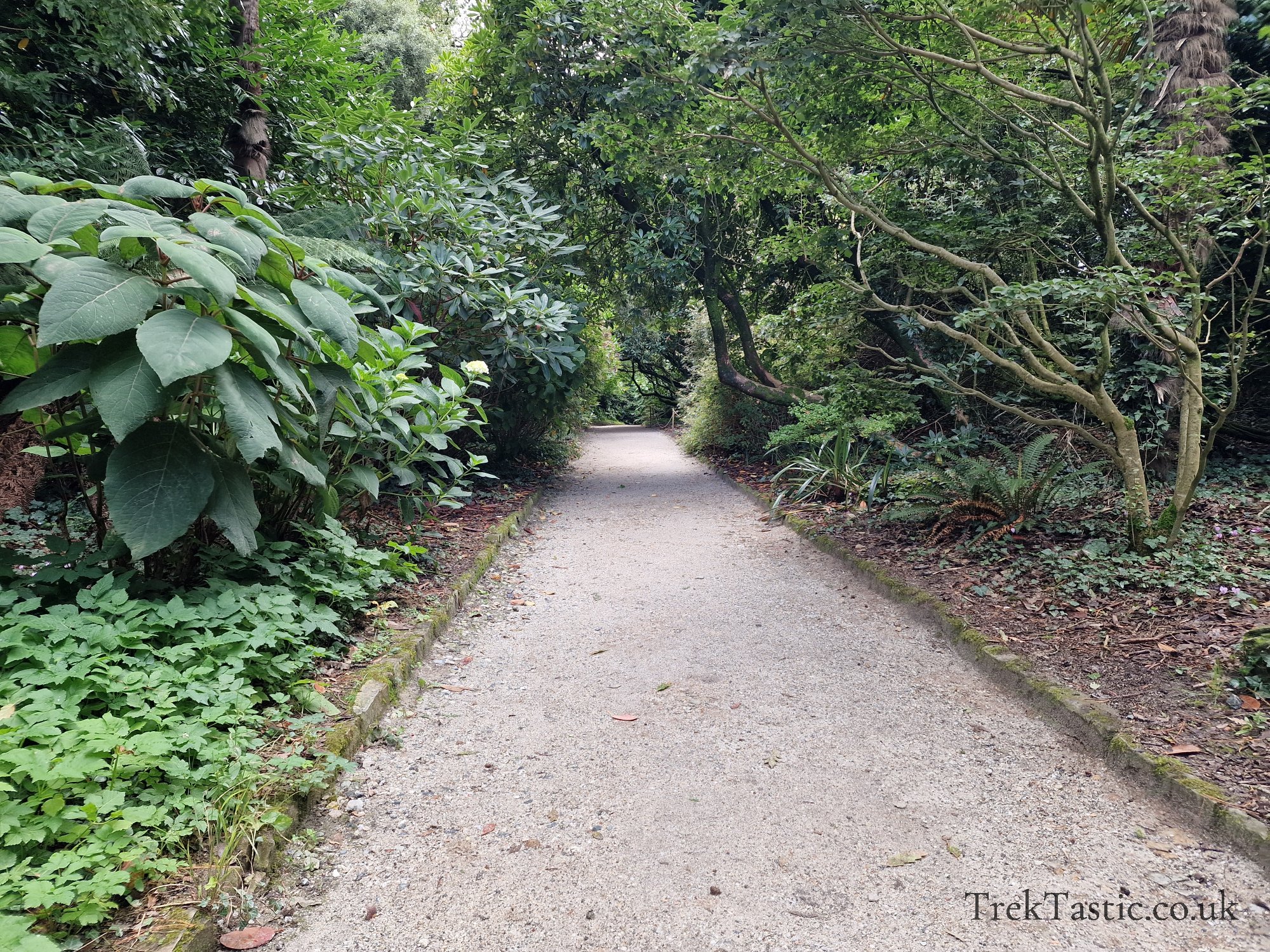 The Lost Gardens of Heligan gallery image 26