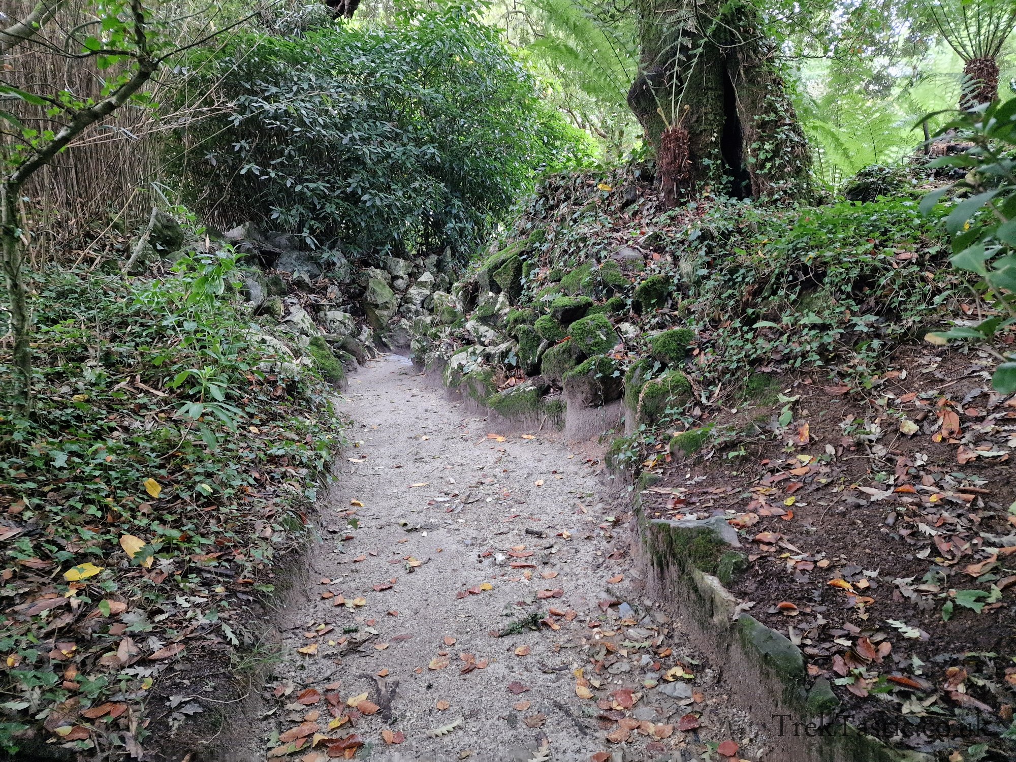 The Lost Gardens of Heligan gallery image 27