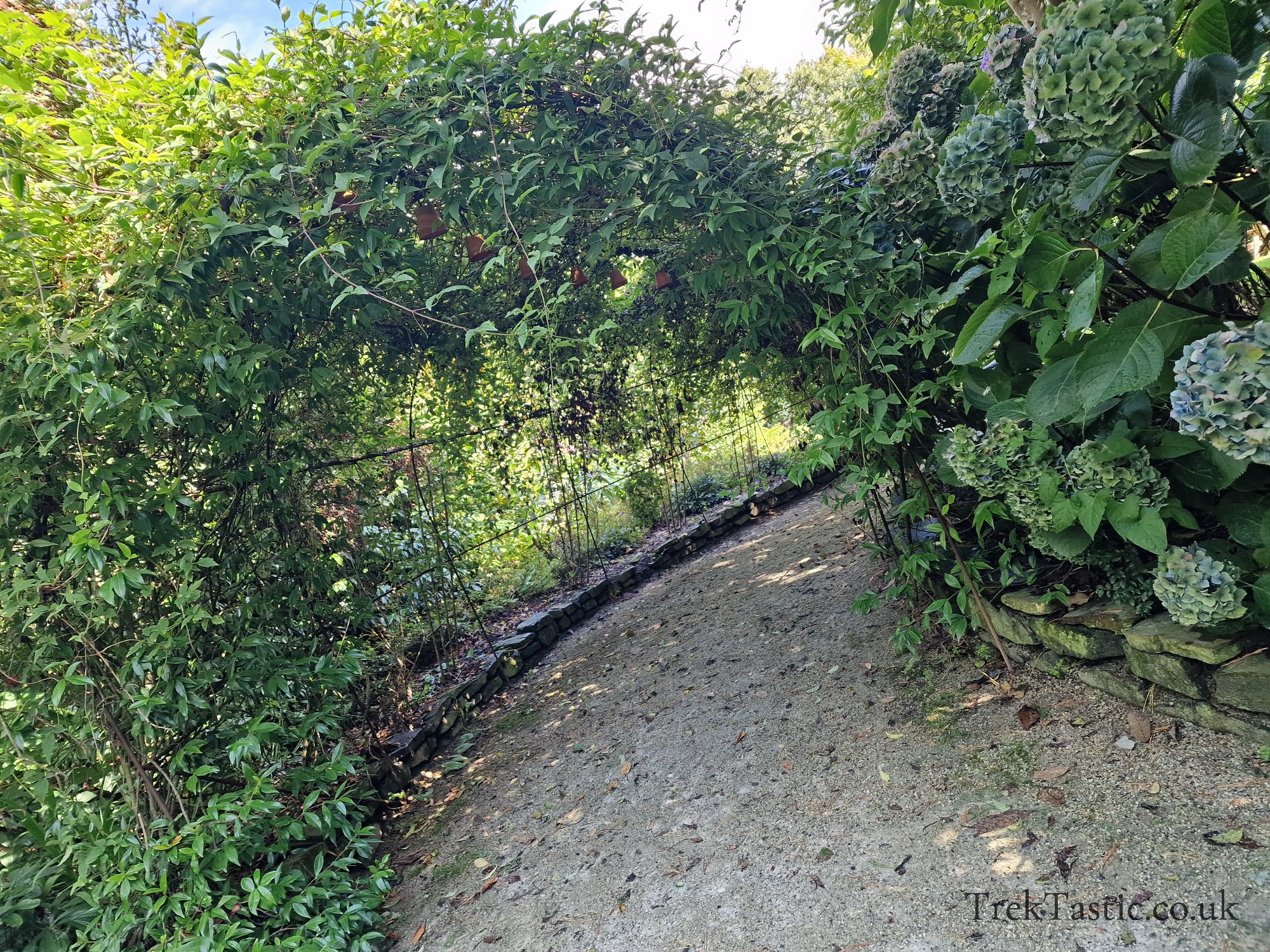 The Lost Gardens of Heligan gallery image 35