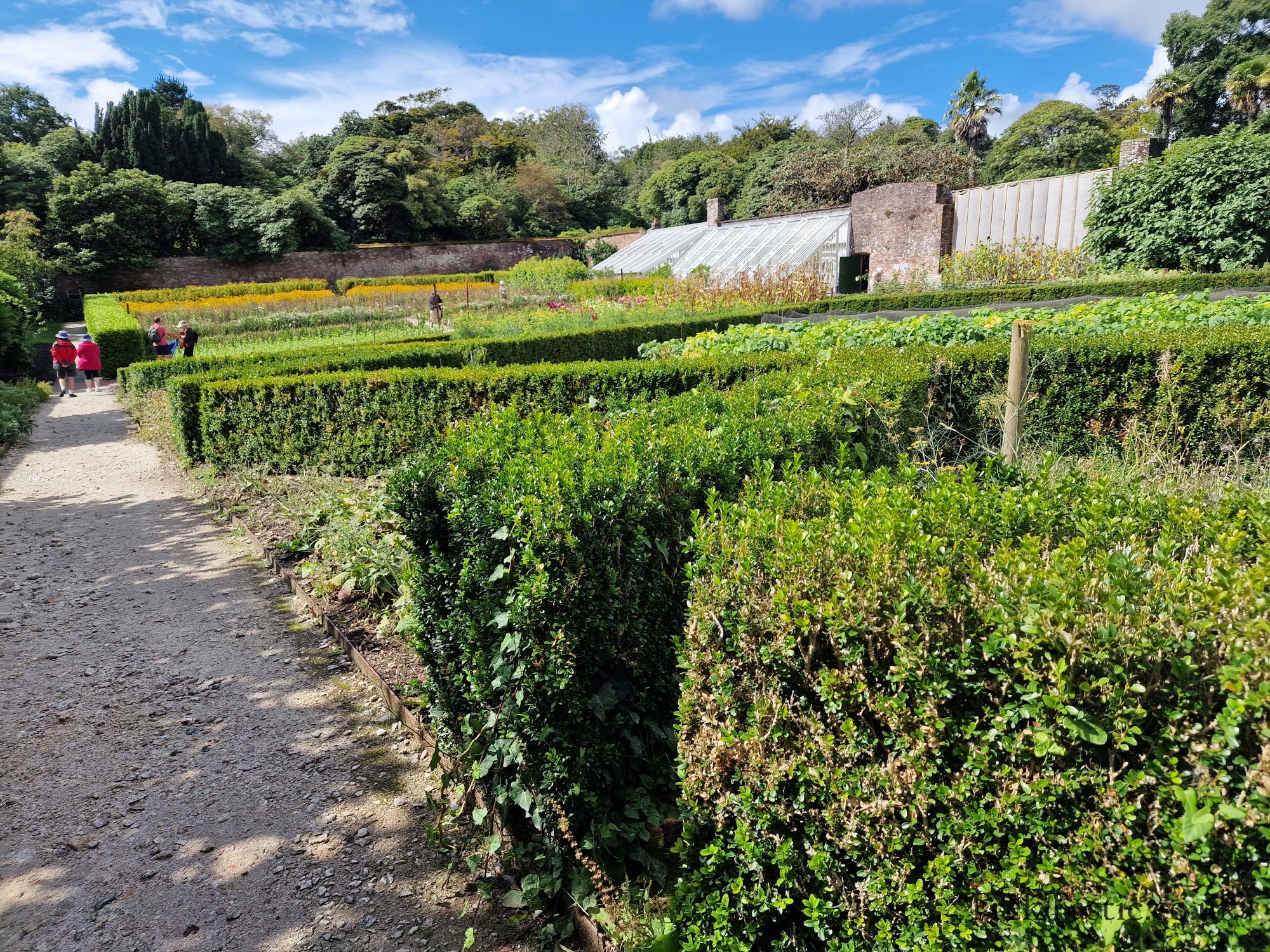 The Lost Gardens of Heligan gallery image 36