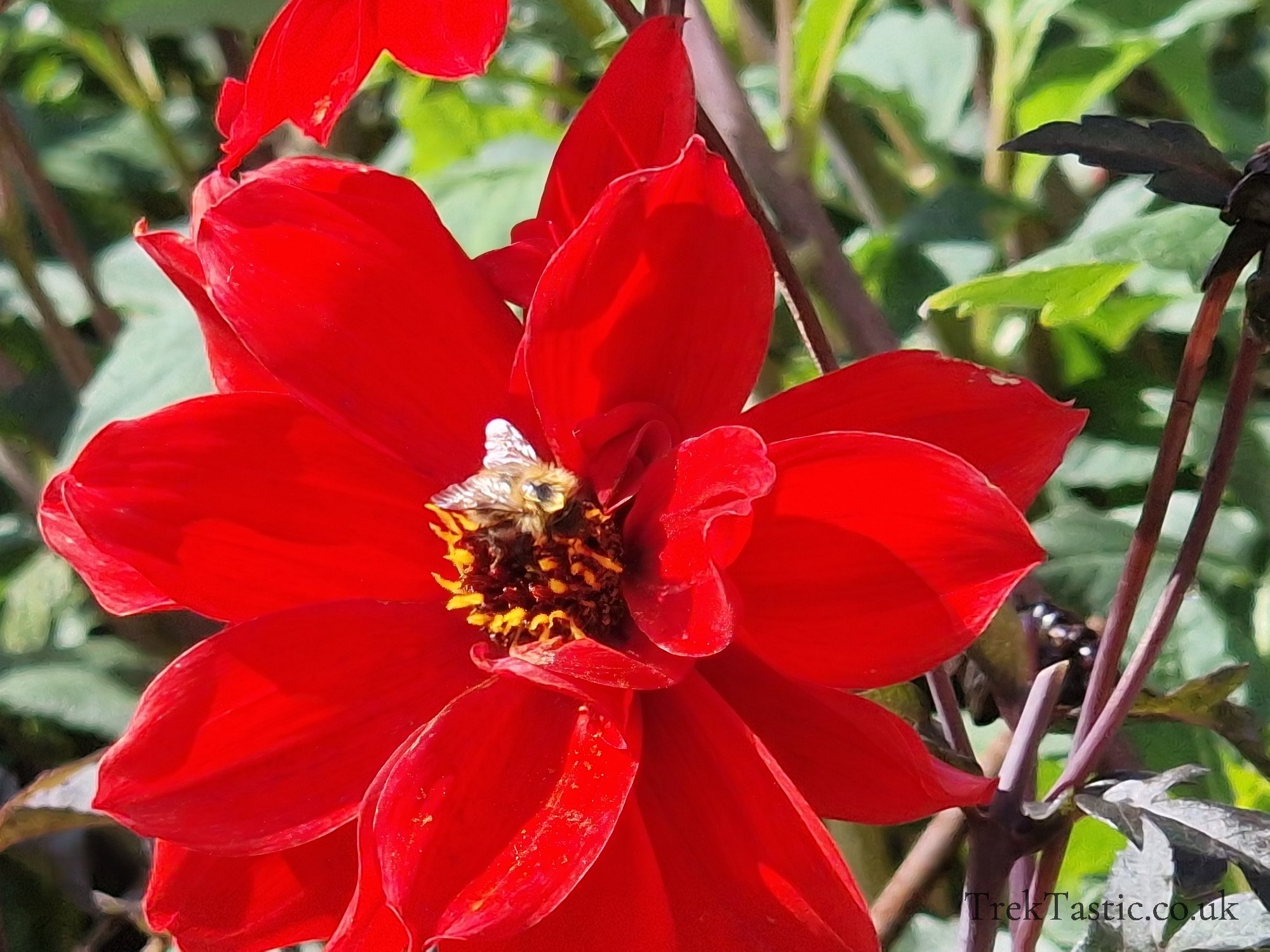 The Lost Gardens of Heligan gallery image 40