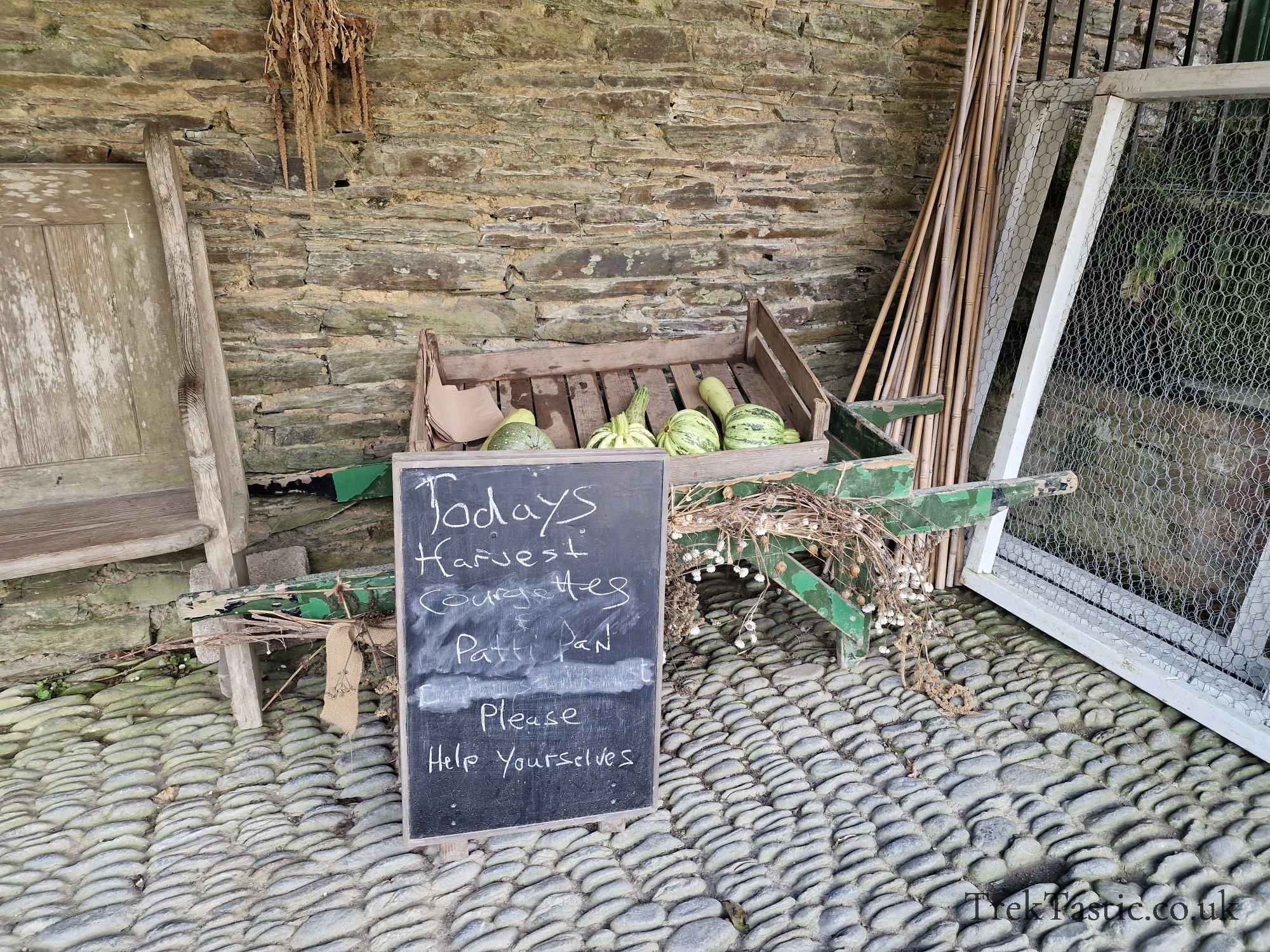 The Lost Gardens of Heligan gallery image 42