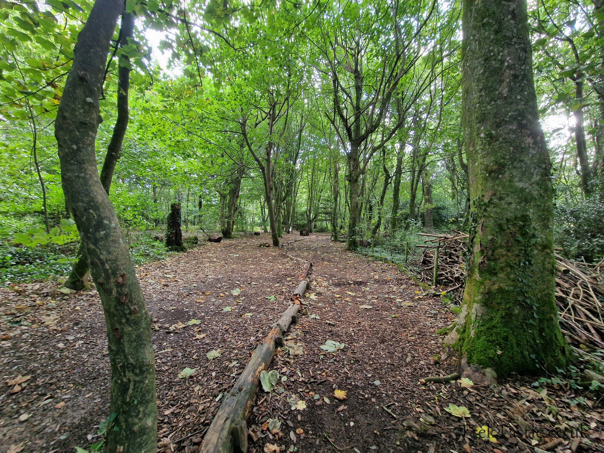 The Lost Gardens of Heligan gallery image 47