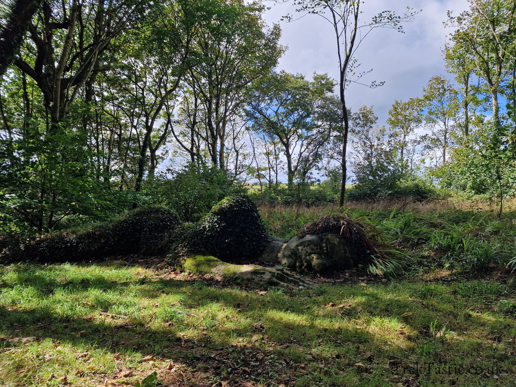 The Lost Gardens of Heligan gallery image 48