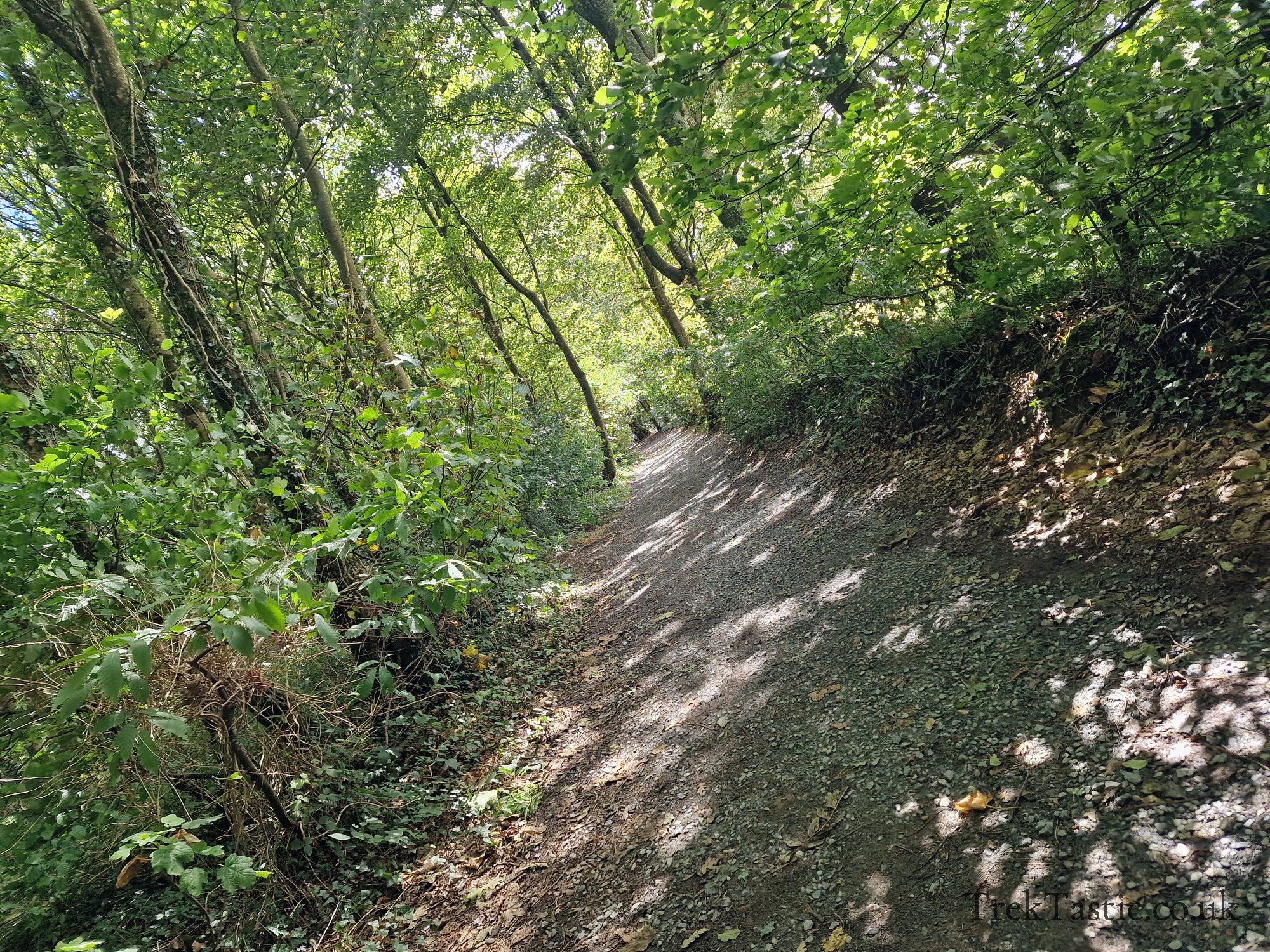 The Lost Gardens of Heligan gallery image 51