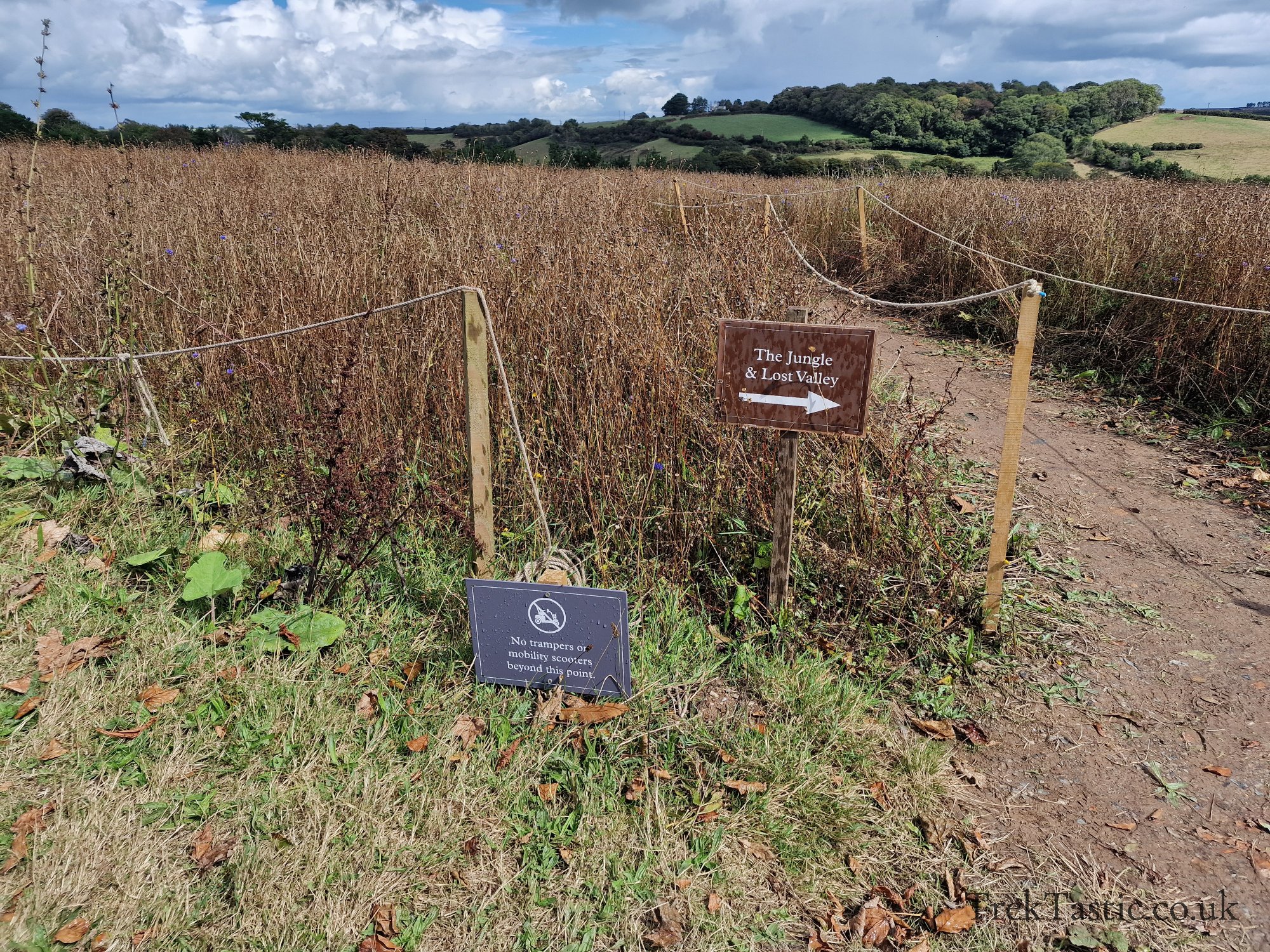 The Lost Gardens of Heligan gallery image 55