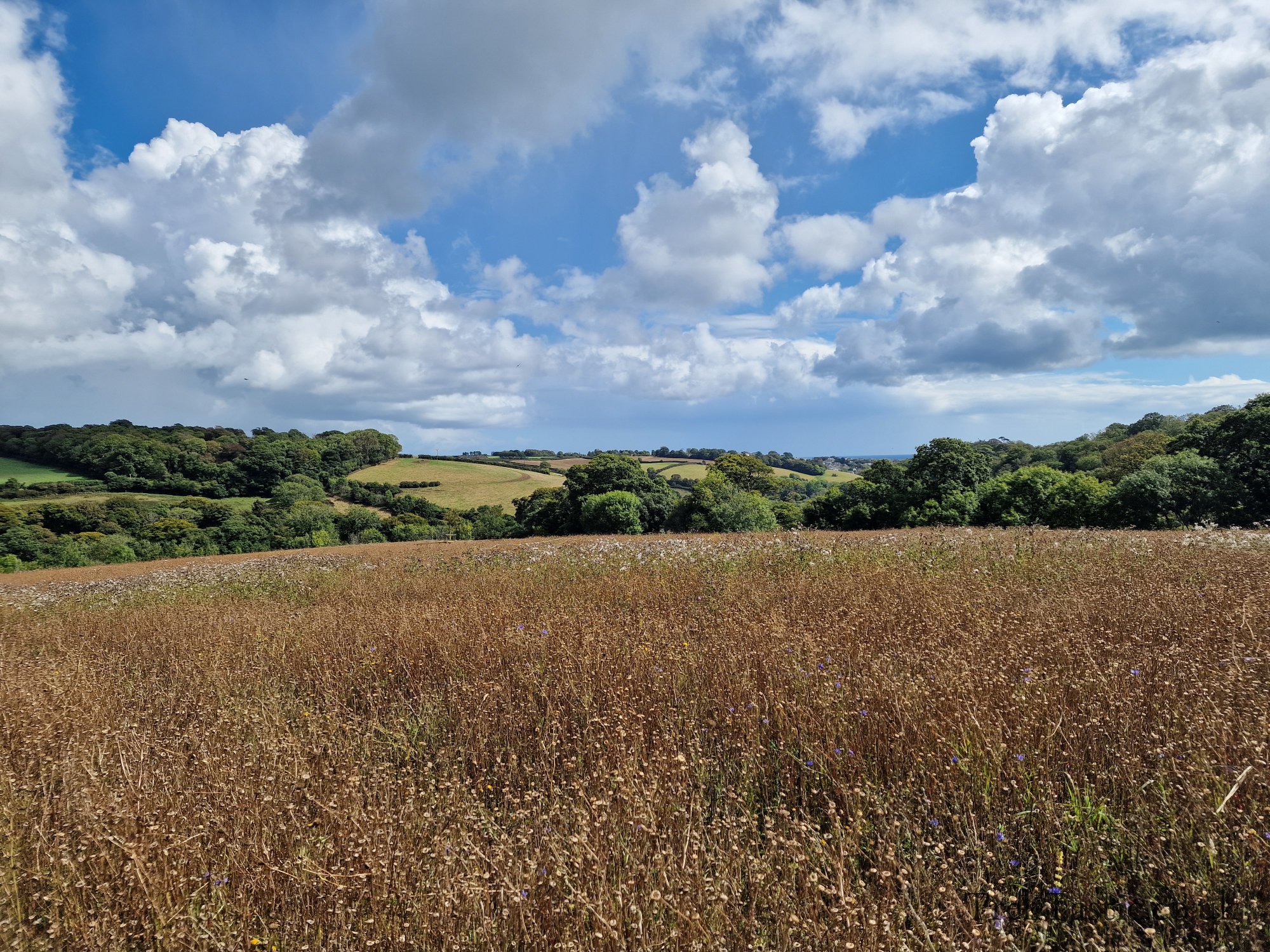The Lost Gardens of Heligan gallery image 56