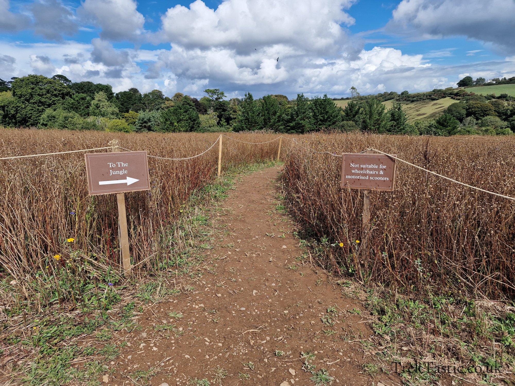 The Lost Gardens of Heligan gallery image 57