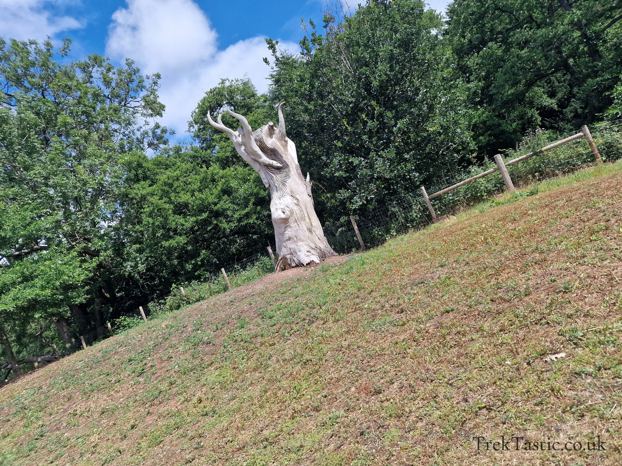 Trentham Estate gallery image 6