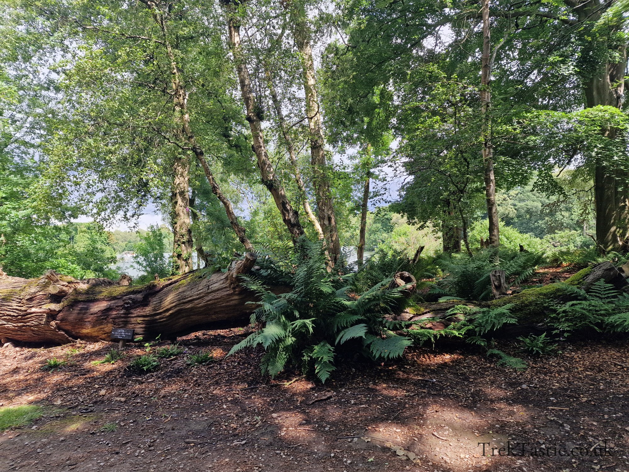 Trentham Estate gallery image 23
