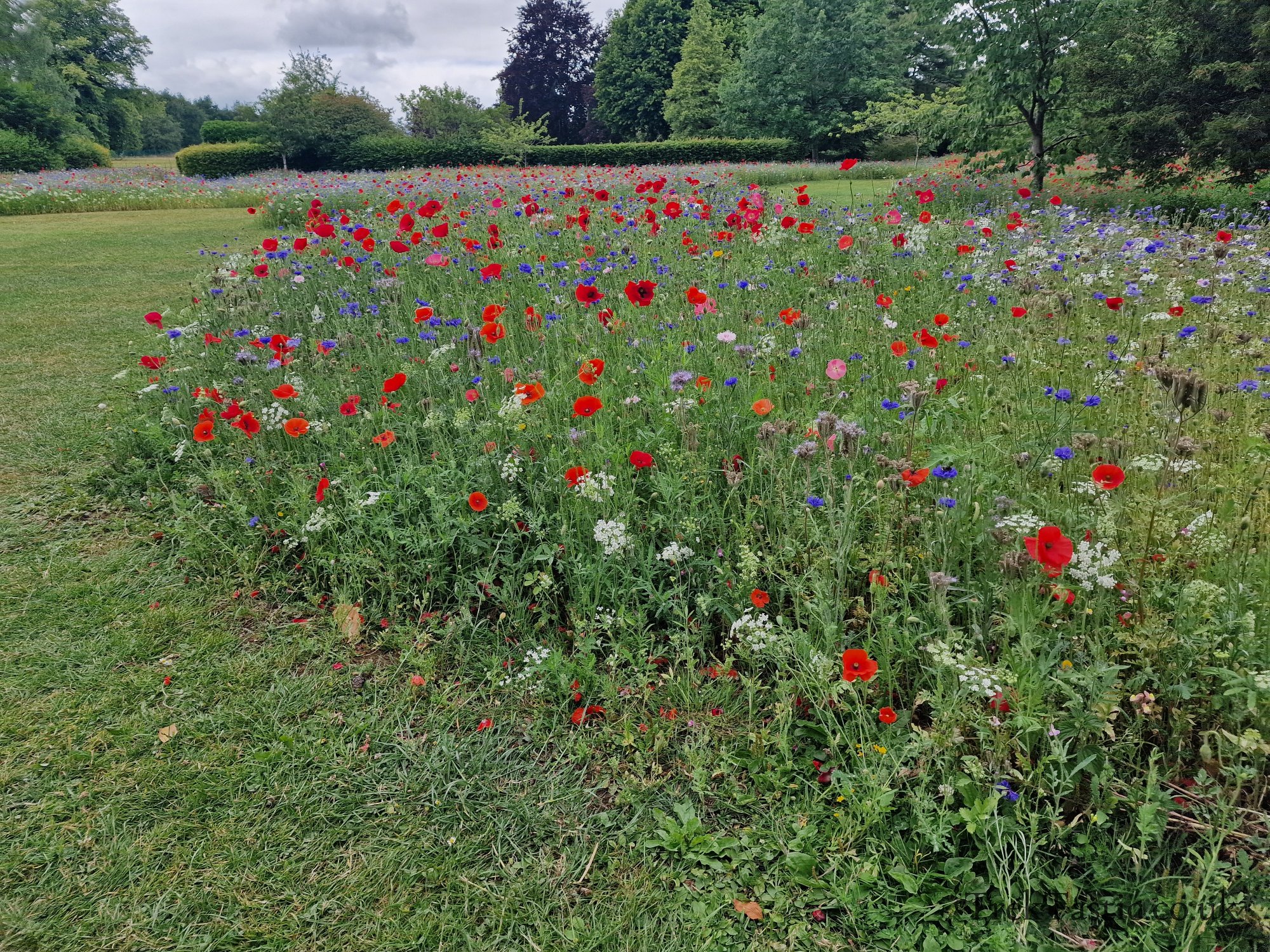Trentham Estate gallery image 25