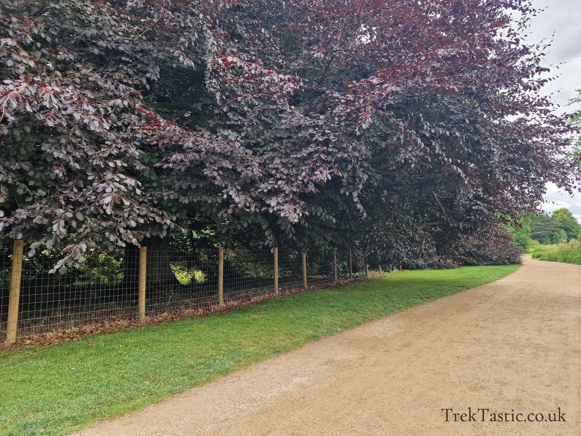 Trentham Estate gallery image 38