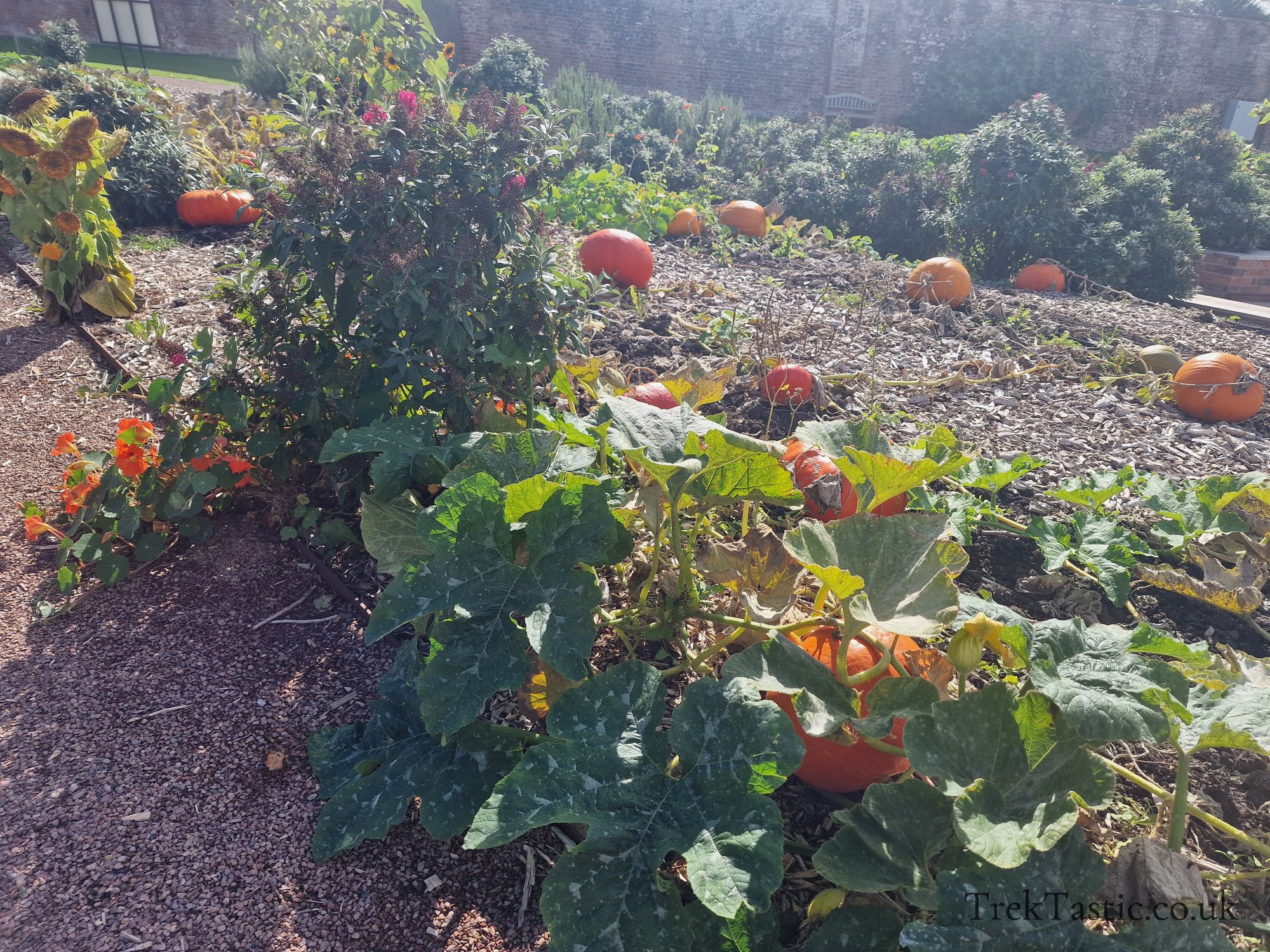 Walled Gardens at Croome Court gallery image 6